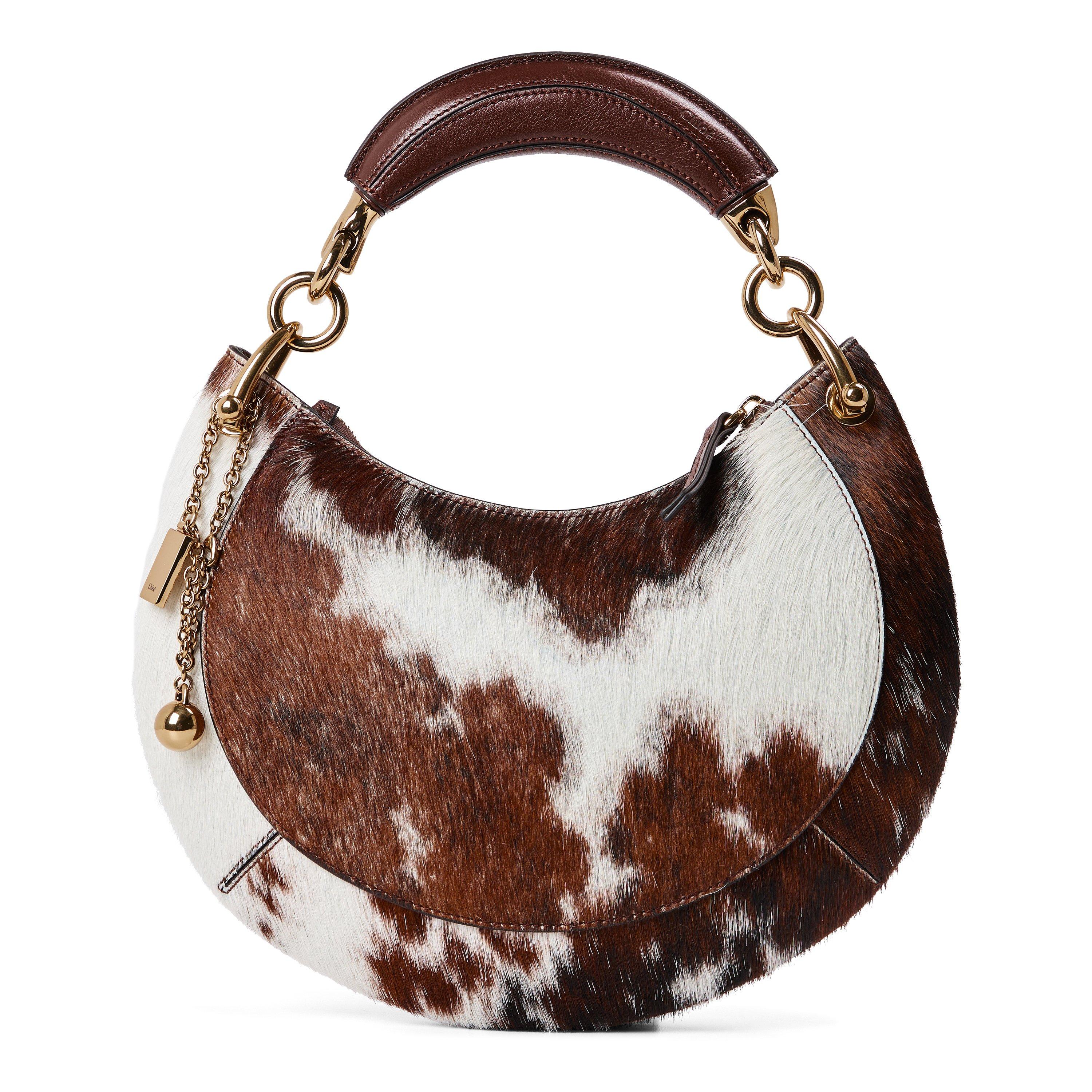 Chocolate - Chloe - Chloe Cow Banana Ld64 - 1