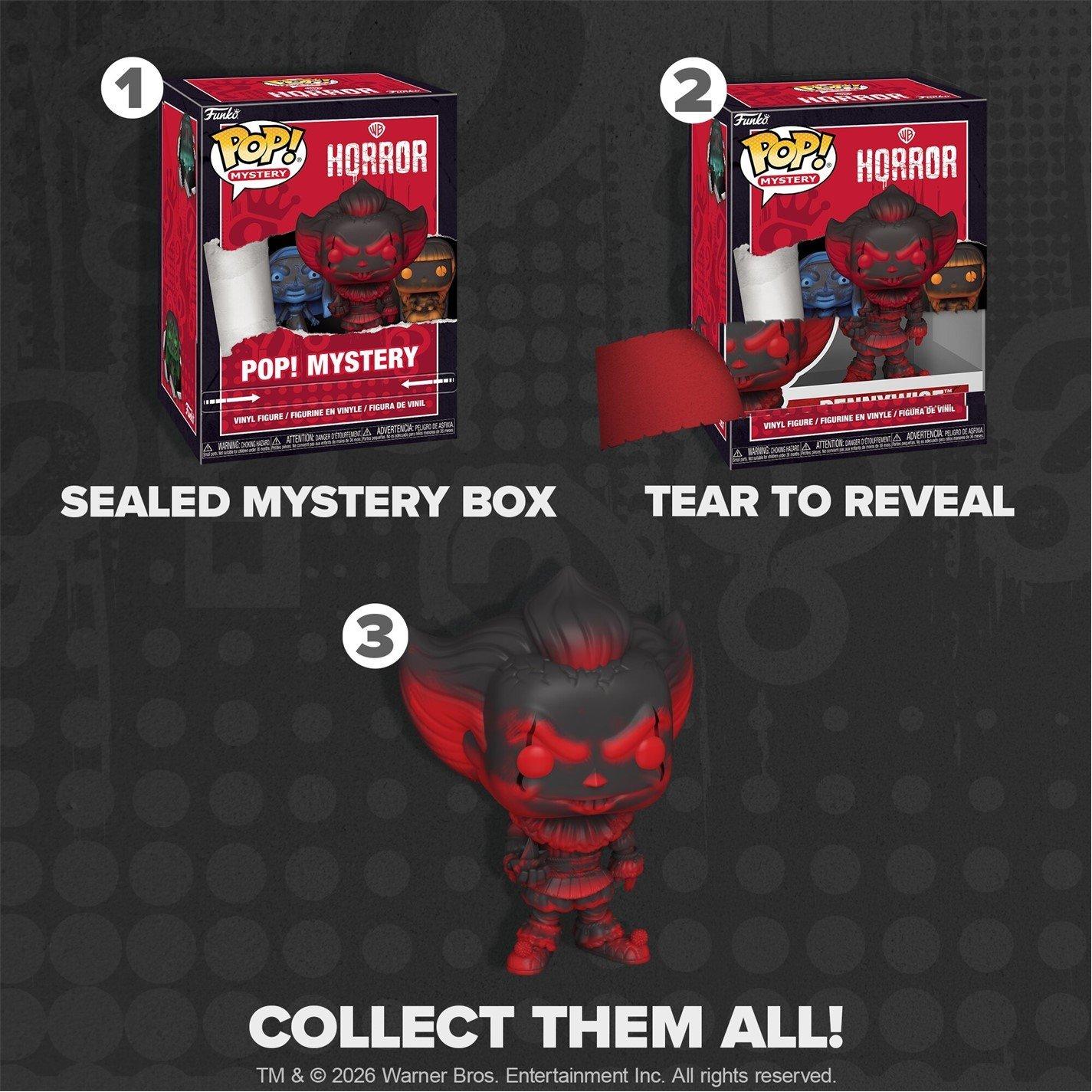 WB Horror - FUNKO - POP Mystery POP! WB Horror - 4