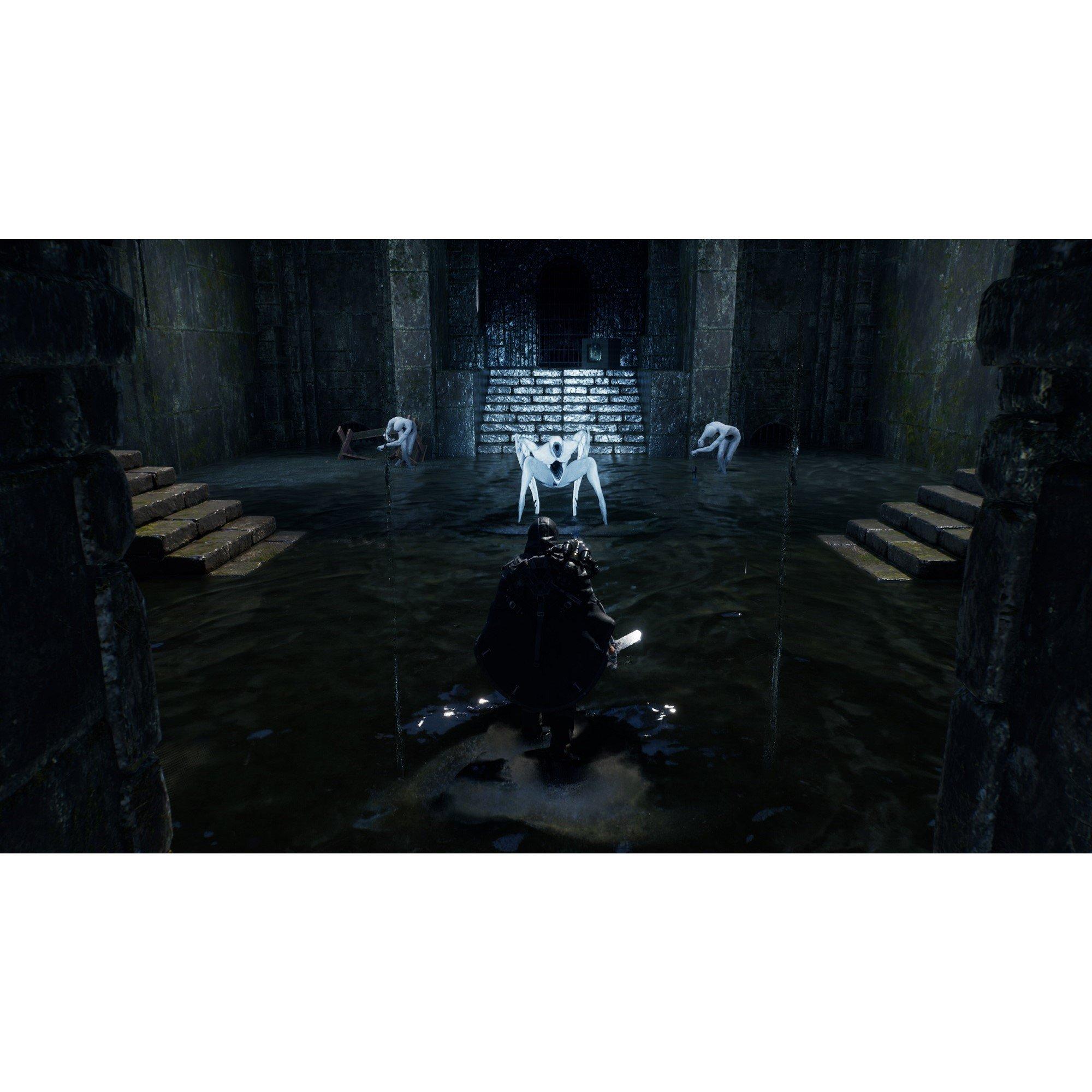 PS5 - Nacon - Hell is Us - 3