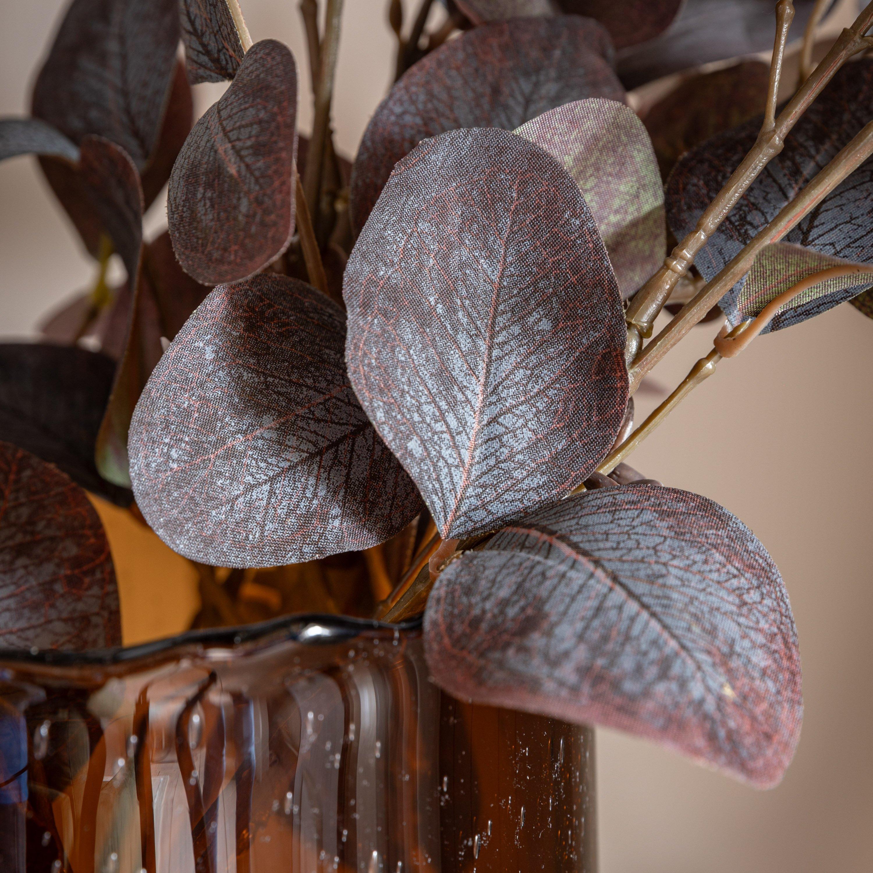 750mm - Gallery - Gallery 5 Pk Eucalyptu 64 - 3
