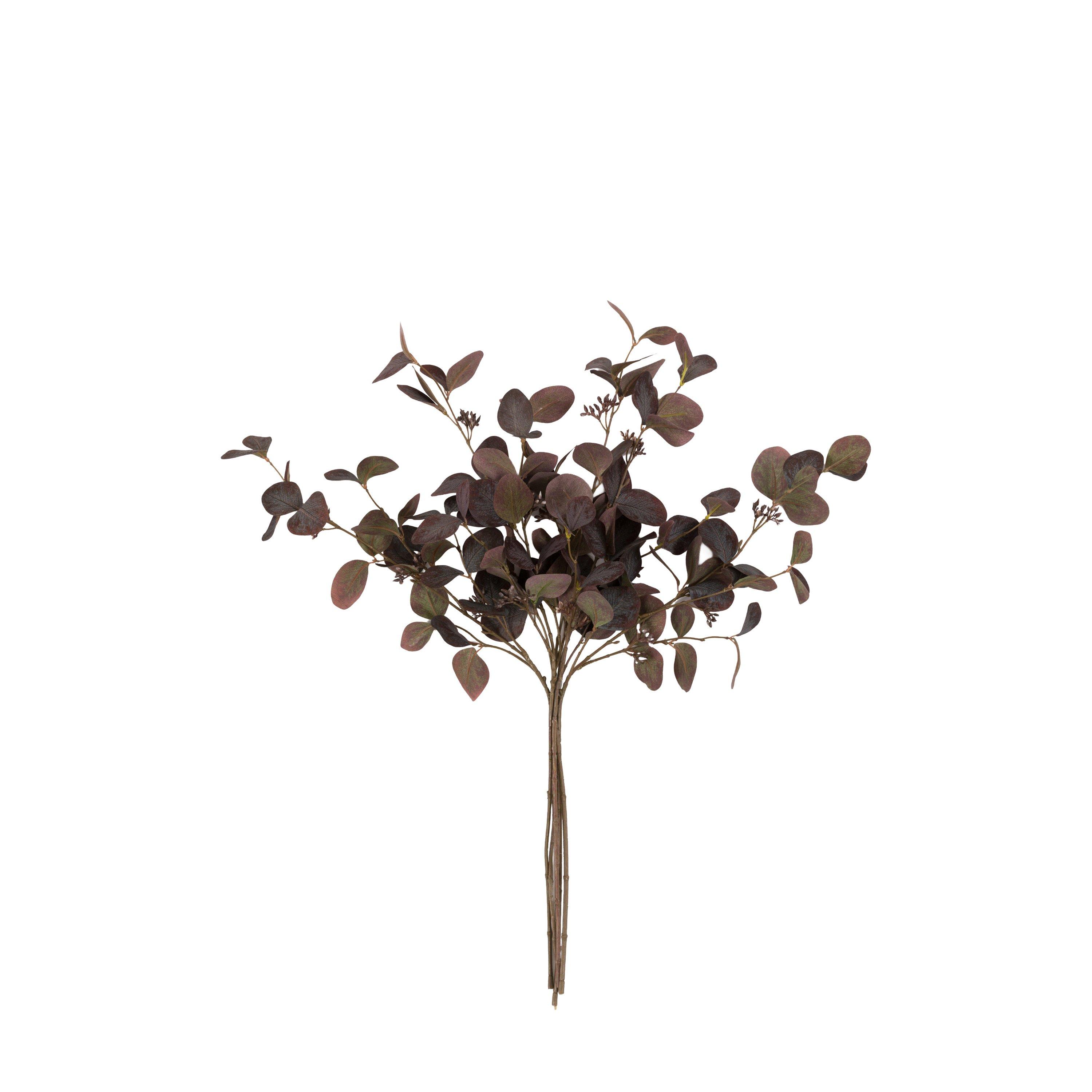 750mm - Gallery - Gallery 5 Pk Eucalyptu 64 - 5