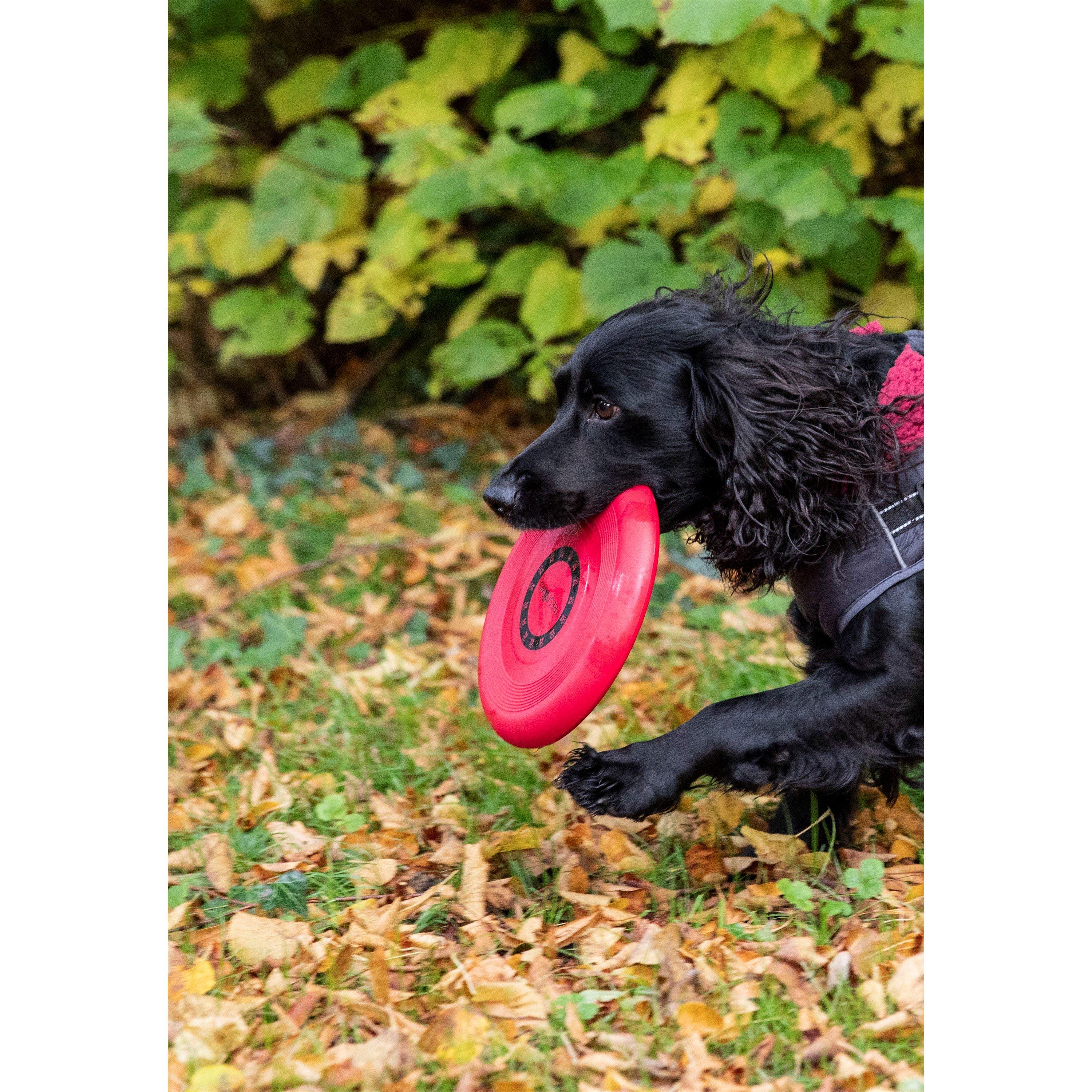 Not Applicable - Trespaws - Tether Dog Leads - 1
