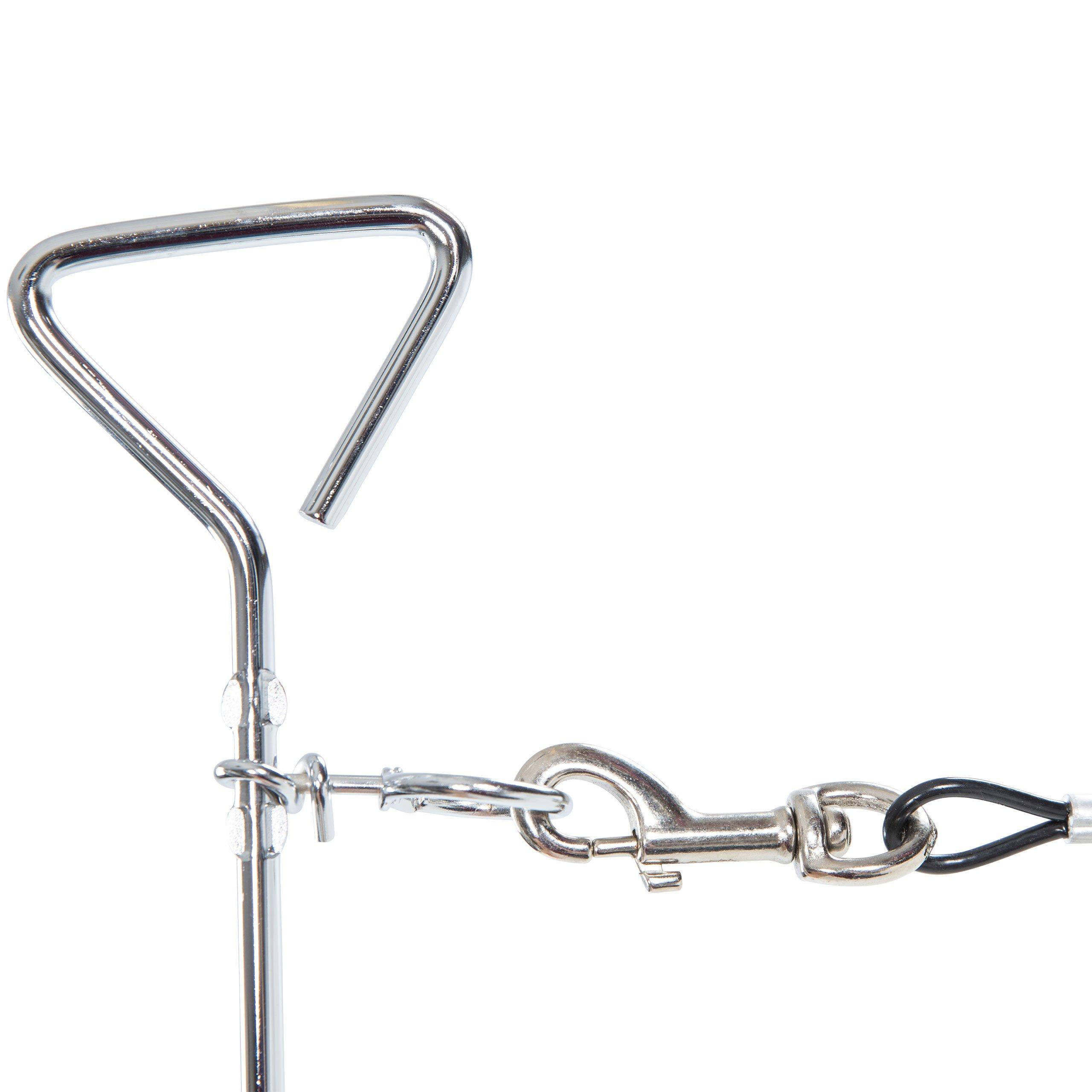 Not Applicable - Trespaws - Tether Dog Leads - 4