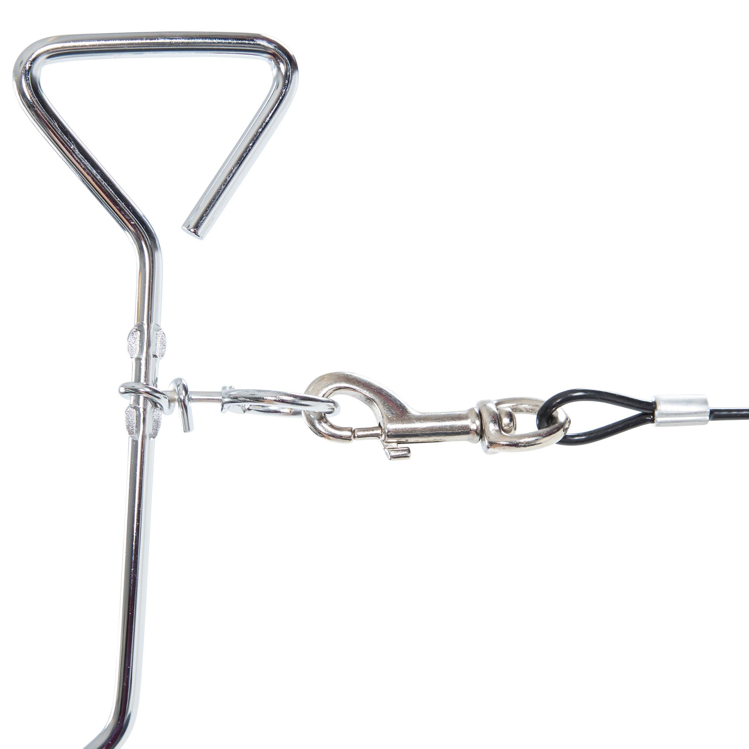 Not Applicable - Trespaws - Tether Dog Leads - 5