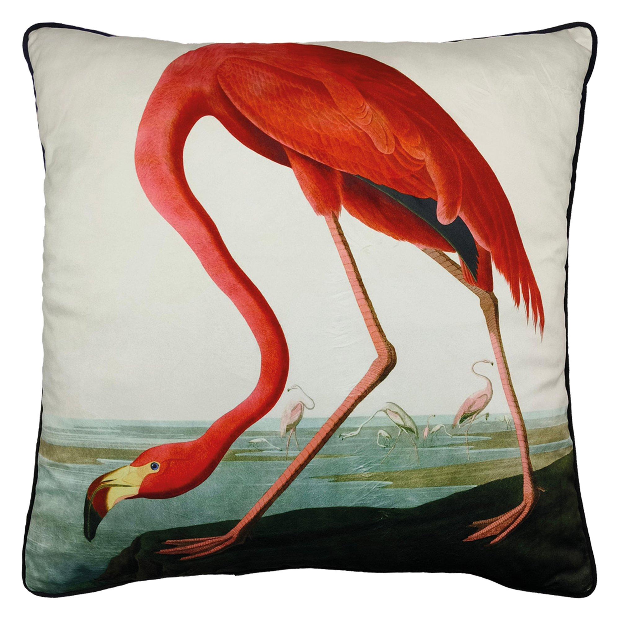 The Art Group John James Audubon Cushion - Amer Flamingo