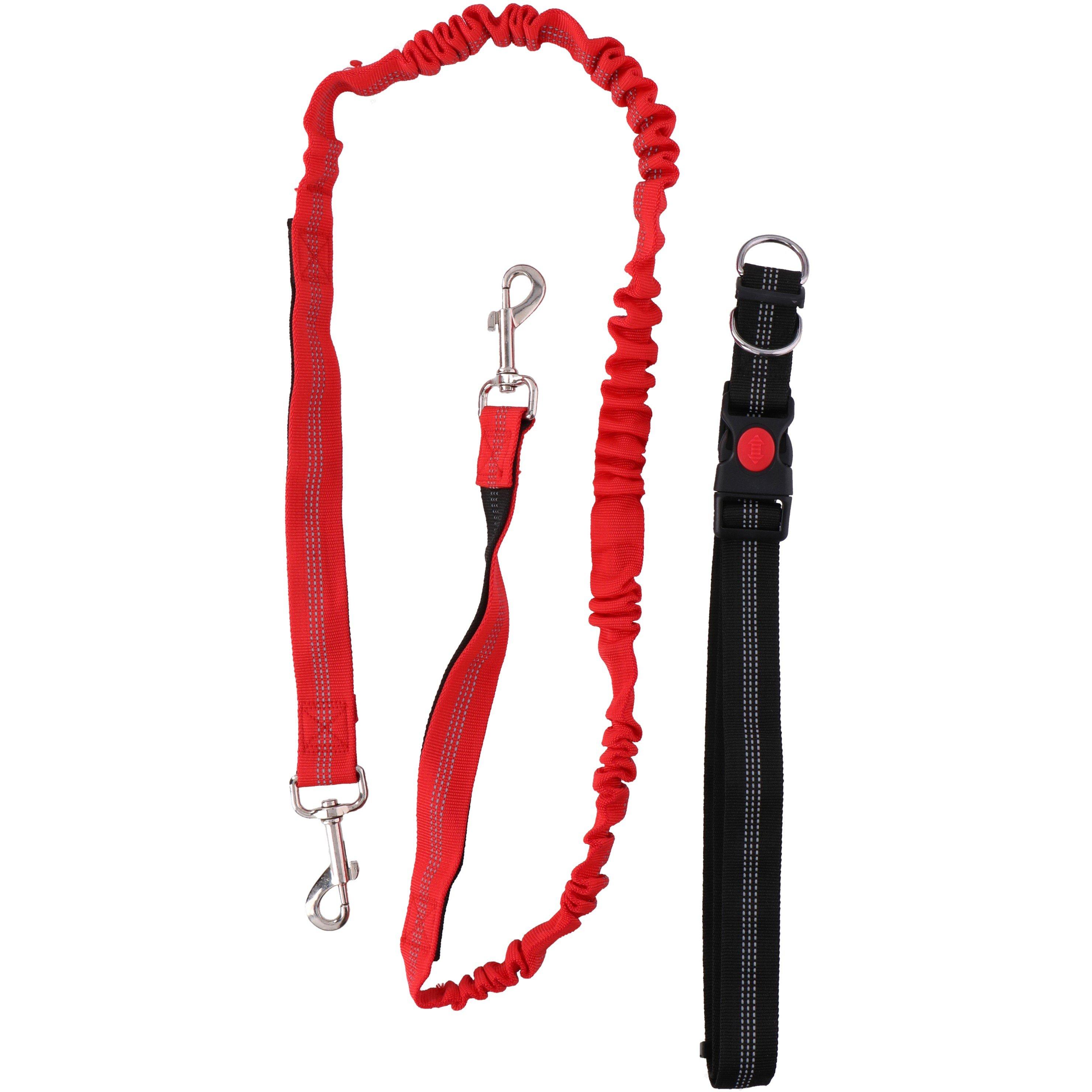 Edco Dog Running Lead