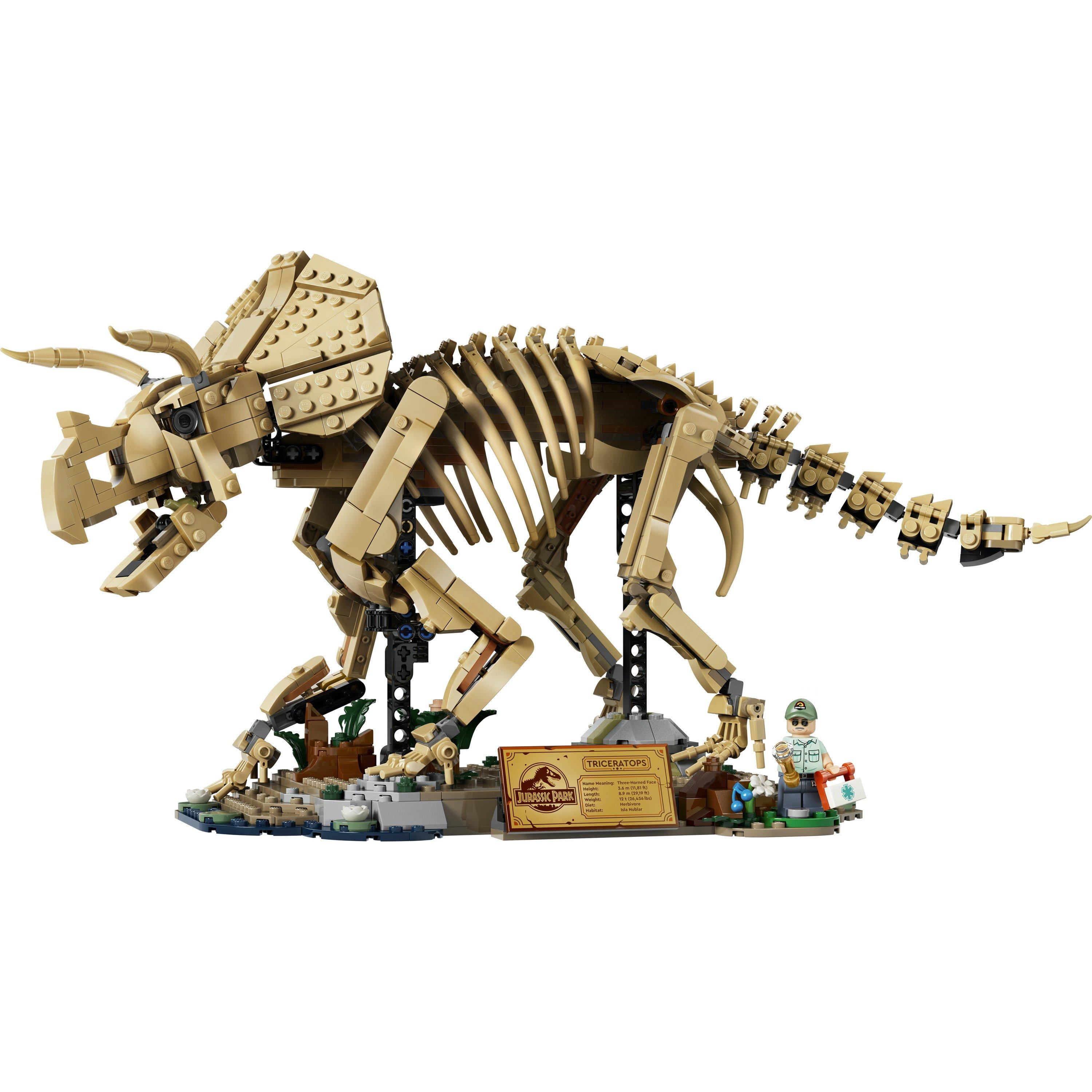 TBC - LEGO - Jurassic World Dinosaur Fossils: Triceratops Set 77985 - 2