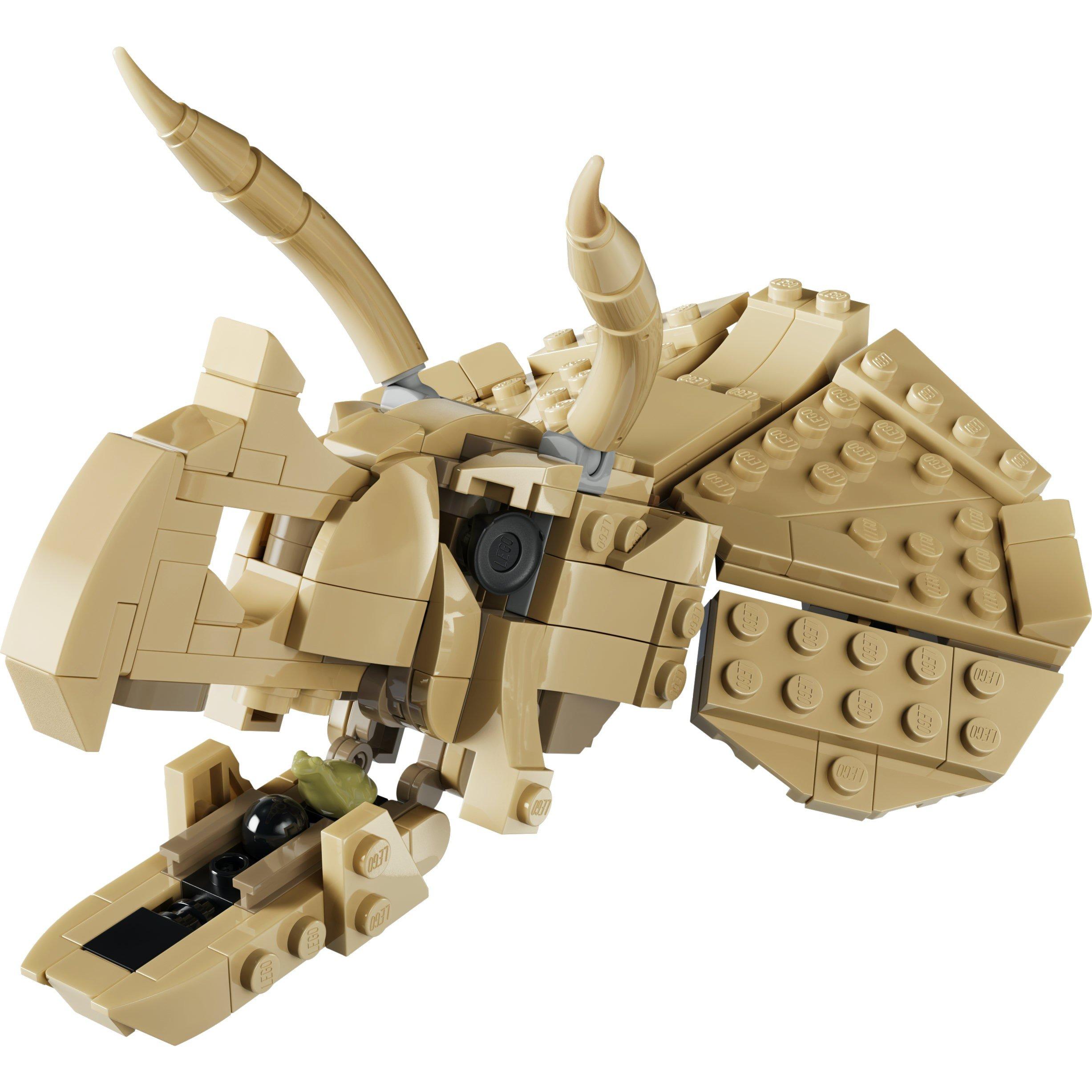 TBC - LEGO - Jurassic World Dinosaur Fossils: Triceratops Set 77985 - 11