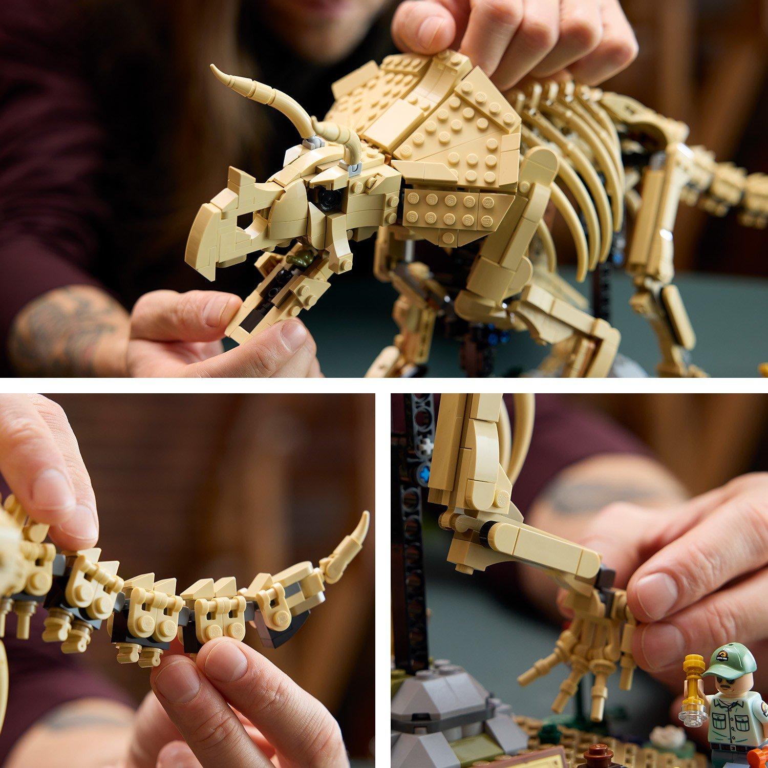 TBC - LEGO - Jurassic World Dinosaur Fossils: Triceratops Set 77985 - 12