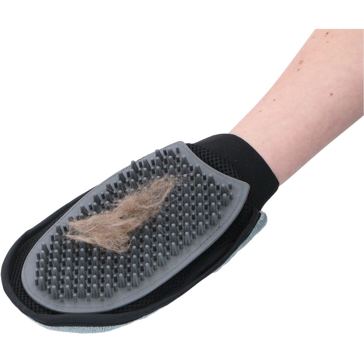 Multi - Edco - Pet Groom Glove - 3