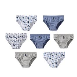 Character Boy's 7pk Briefs