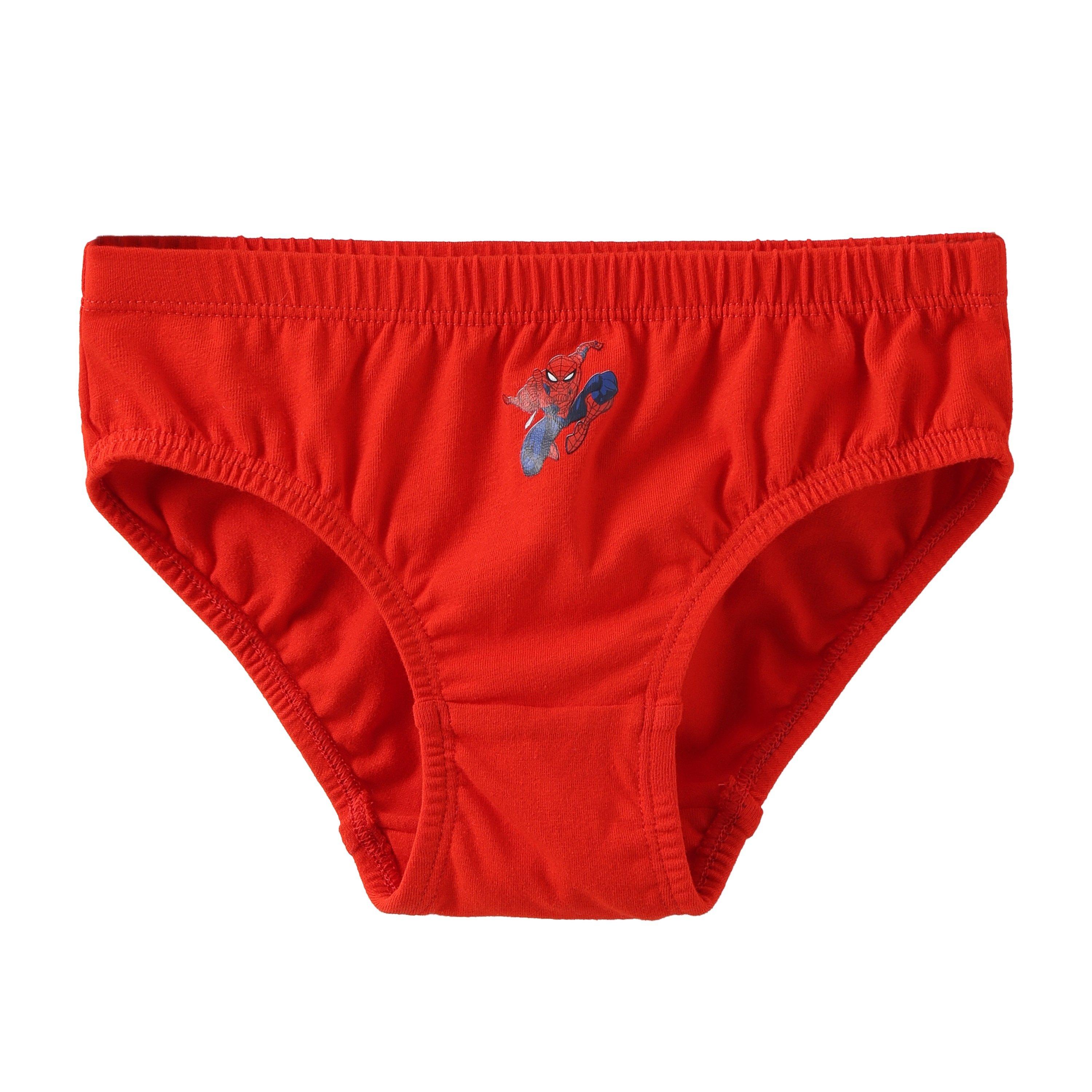 Spiderman - Character - Boy's 7pk Briefs - 6