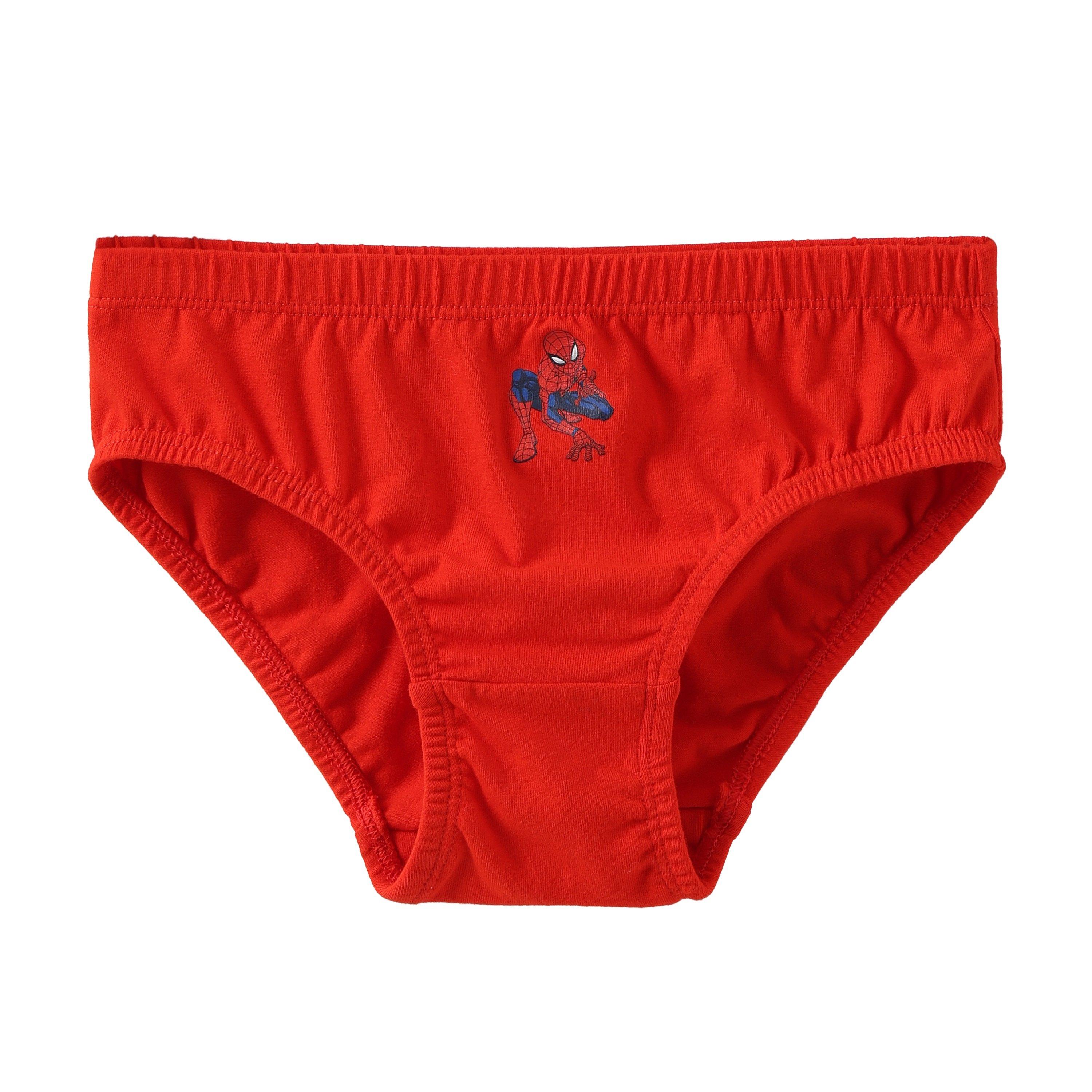 Spiderman - Character - Boy's 7pk Briefs - 7