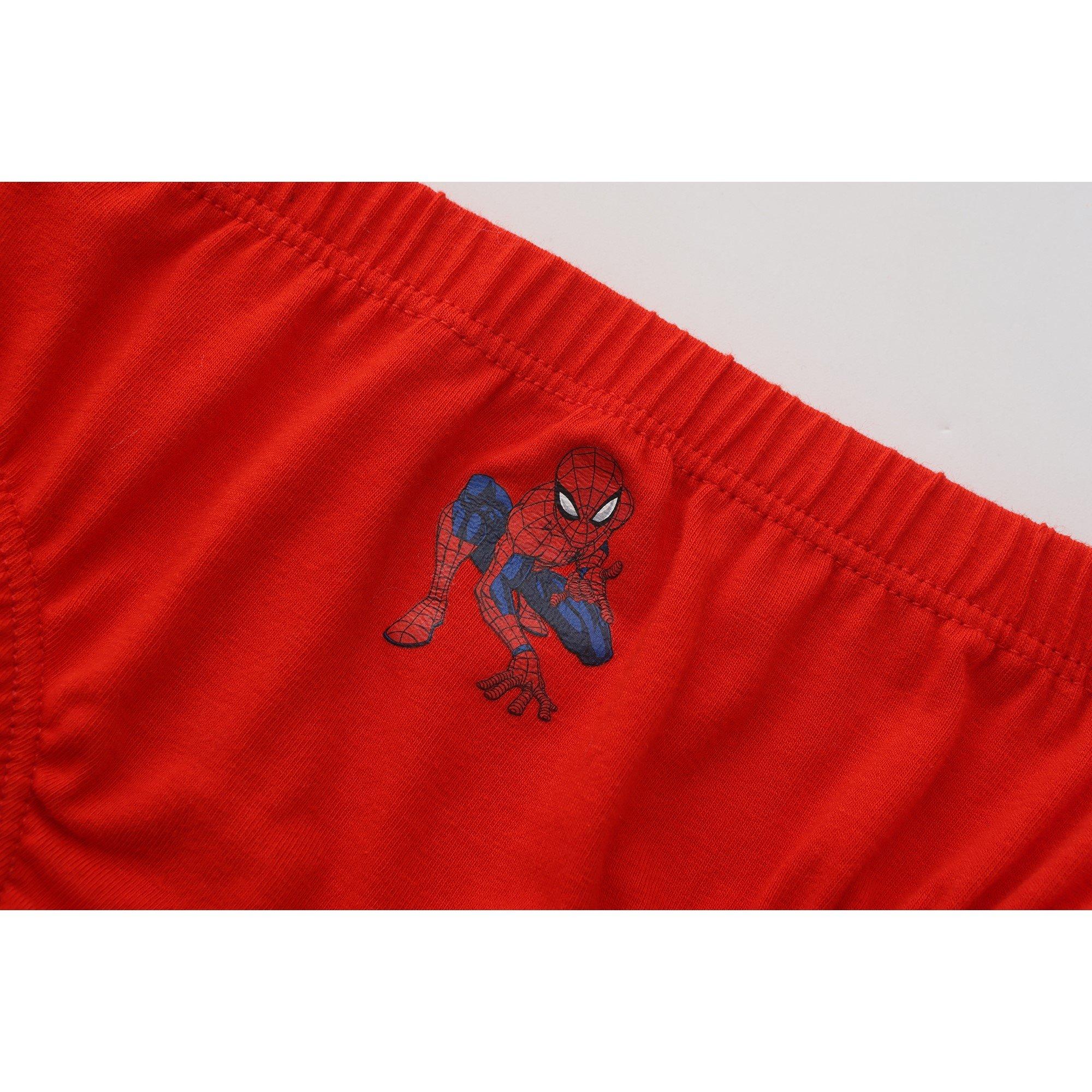 Spiderman - Character - Boy's 7pk Briefs - 8