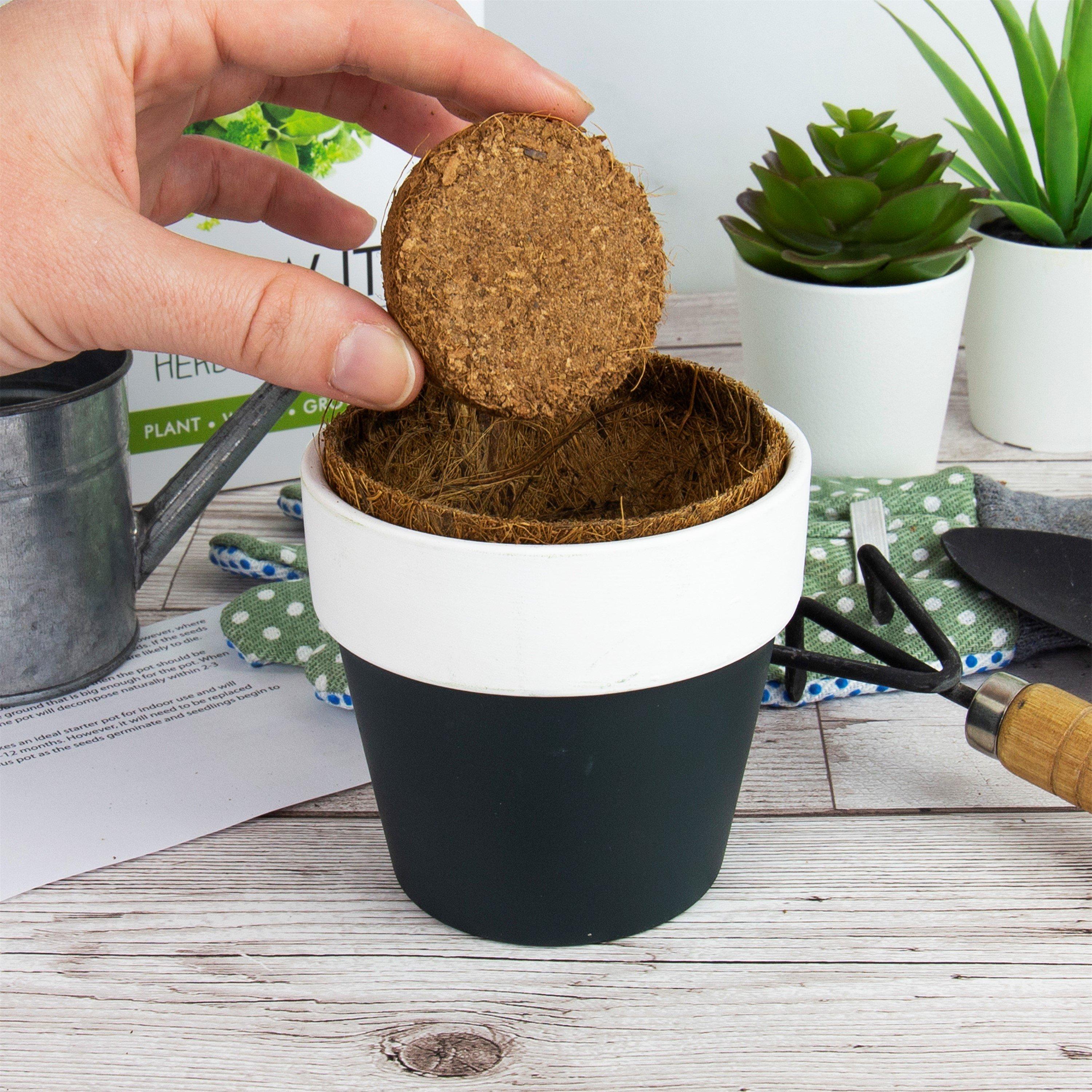 Green - Grow It - Grow it Herb Garden - 3