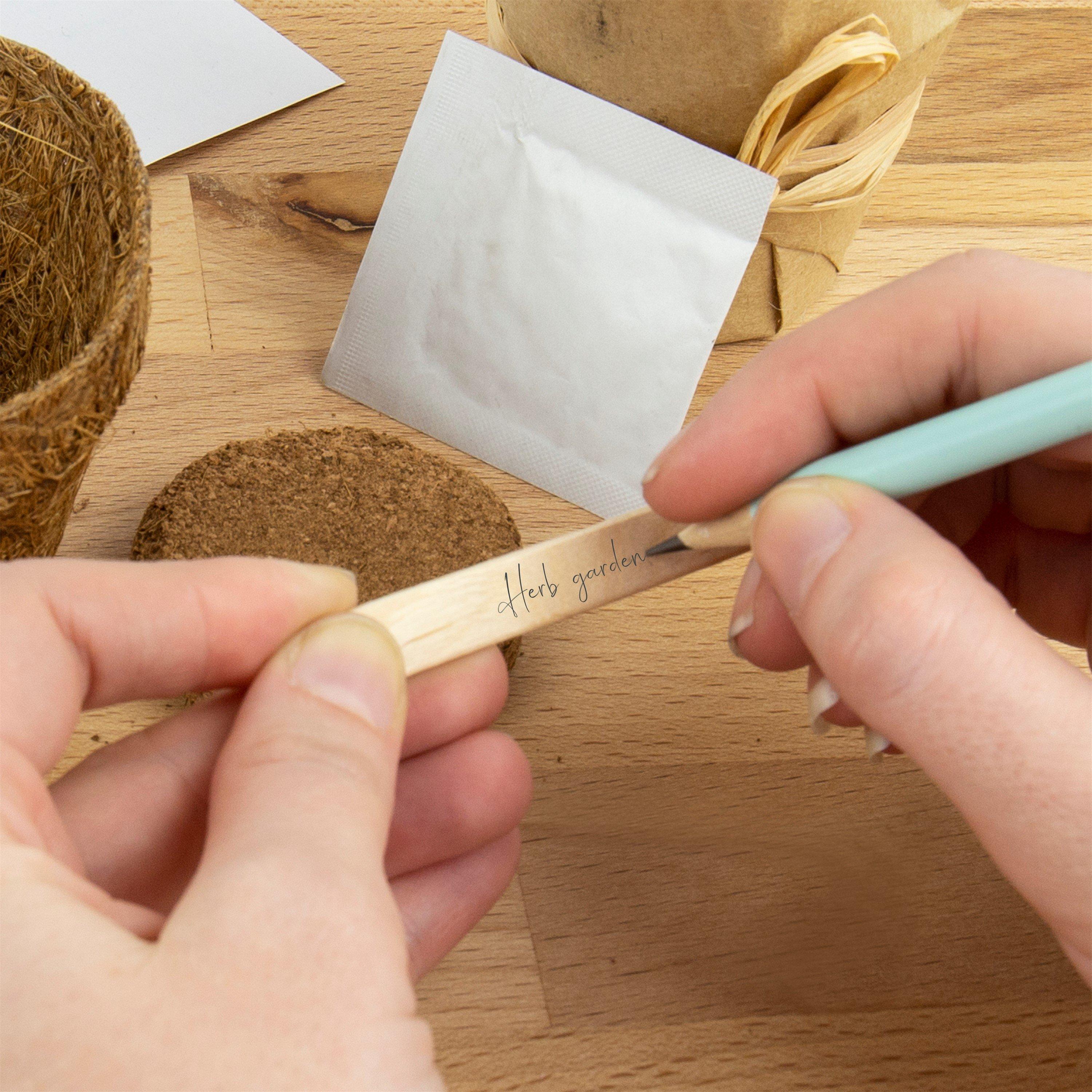 Green - Grow It - Grow it Herb Garden - 4