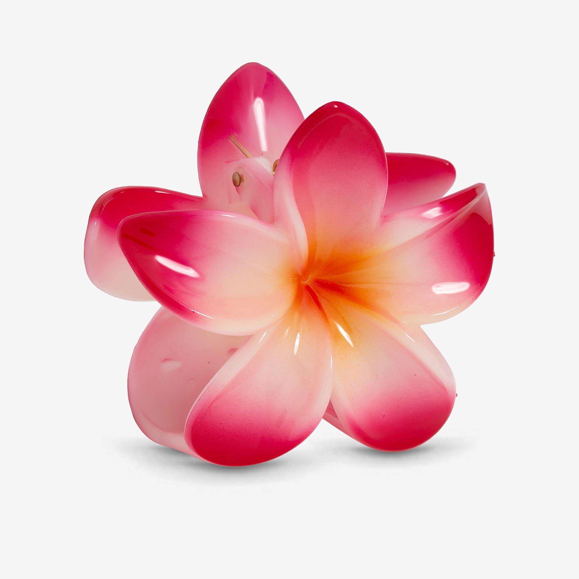 Pink - Mood - Pink Ombre Claw Clip