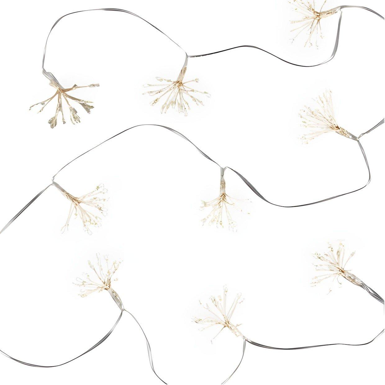 Blanc Glacé - The Spirit Of Christmas - ID 10pc Burst Light 54 Ice White One Size - 2