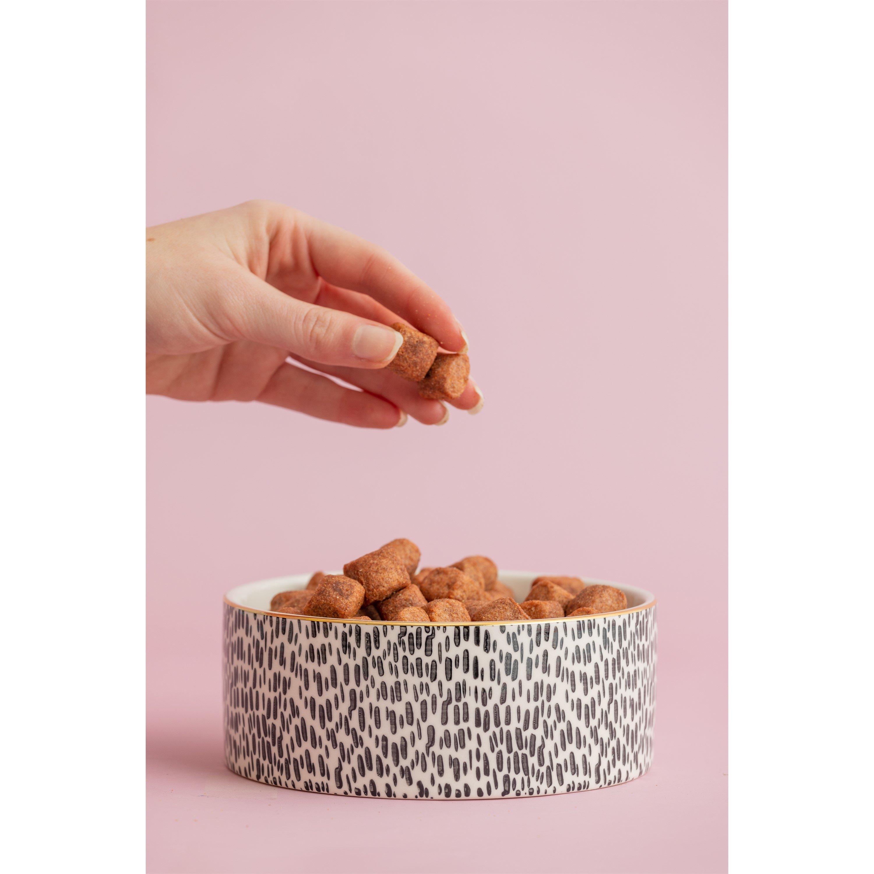 Gold - Mason Cash - Splatter Pet Bowls - 1