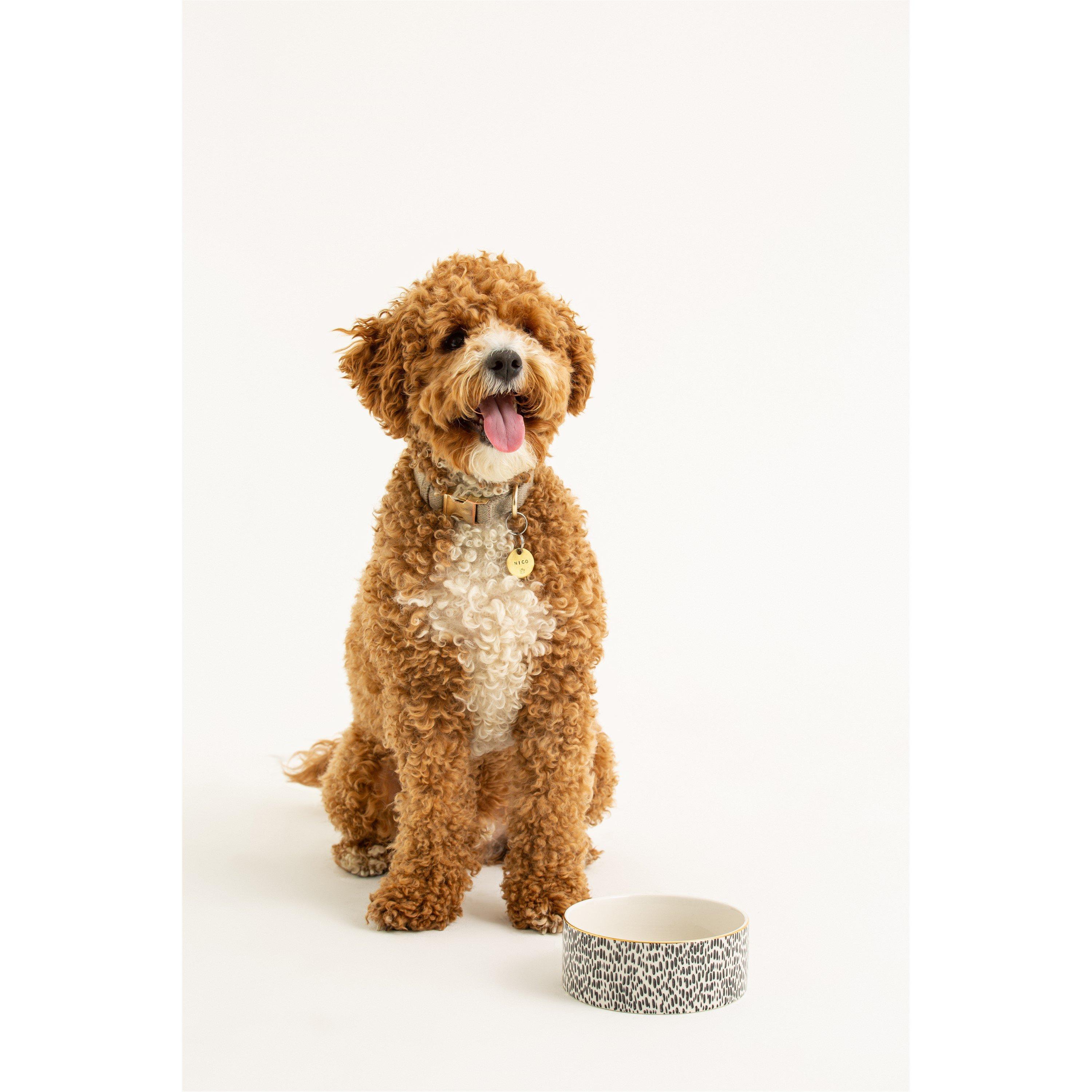 Gold - Mason Cash - Splatter Pet Bowls - 2