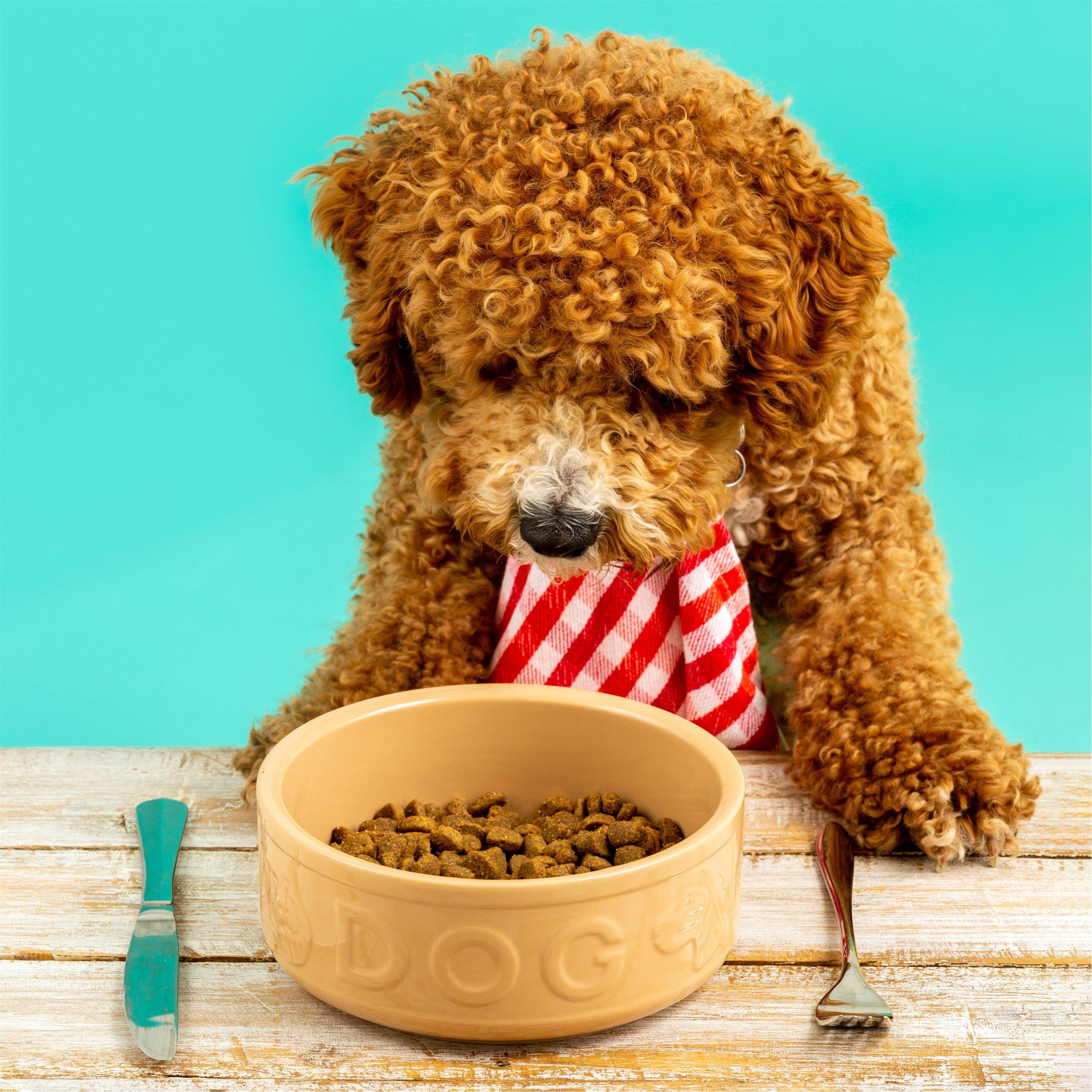 Cane - Mason Cash - 15cm Cane Dog Bowl Set - 1