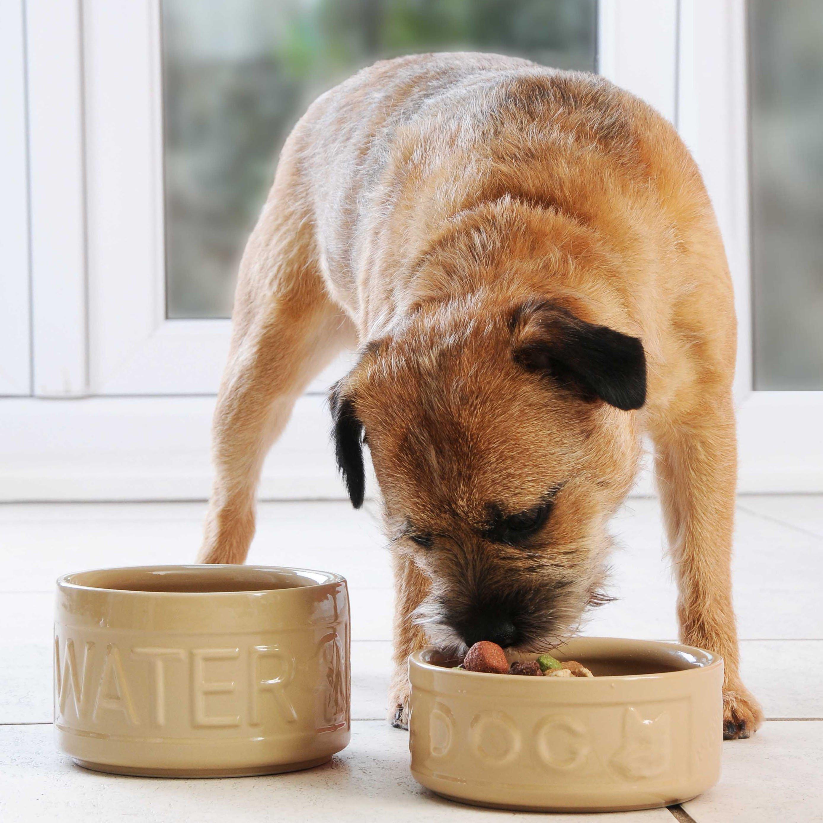 Cane - Mason Cash - 15cm Cane Dog Bowl Set - 2