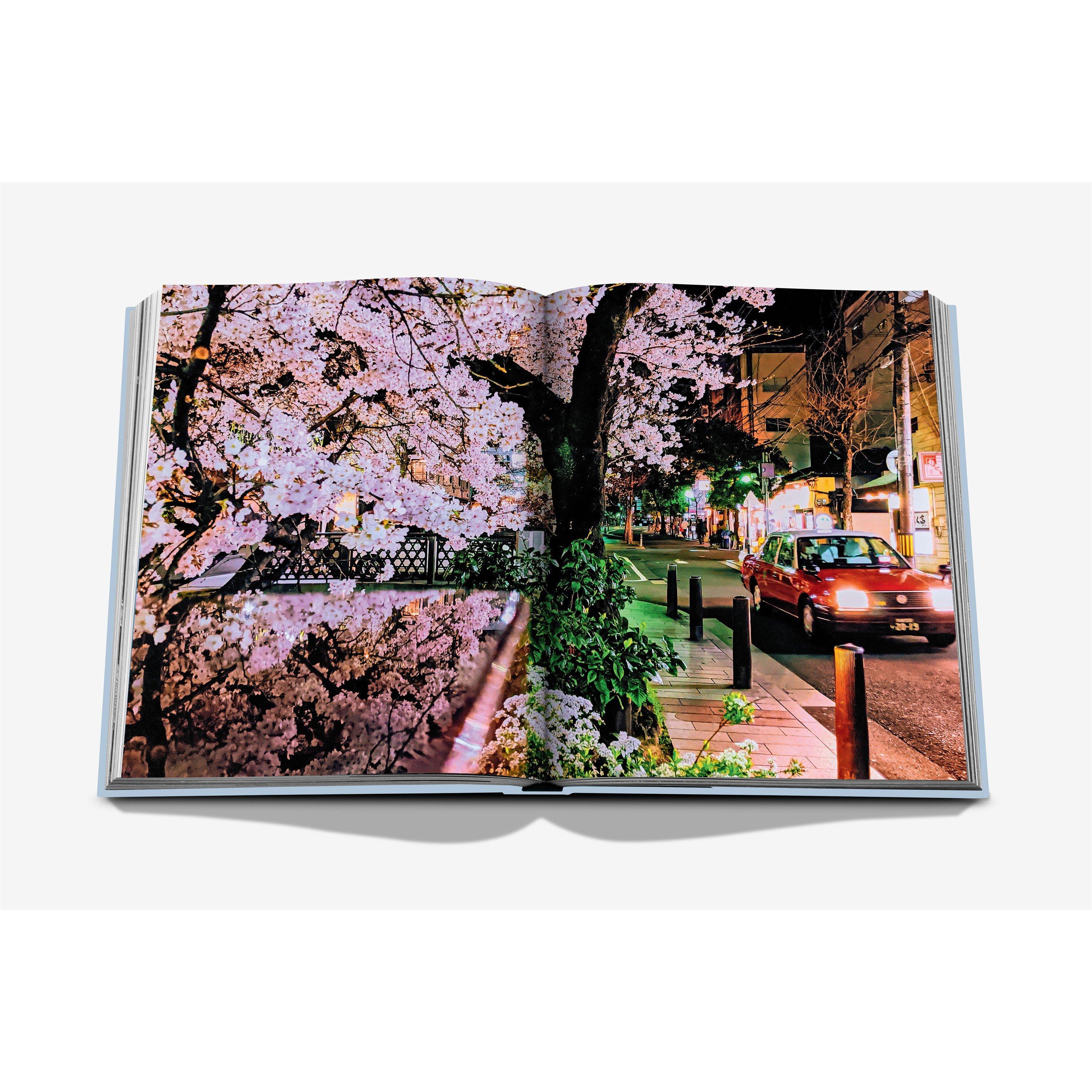 Grey - Assouline - Kyoto Serenity - 8