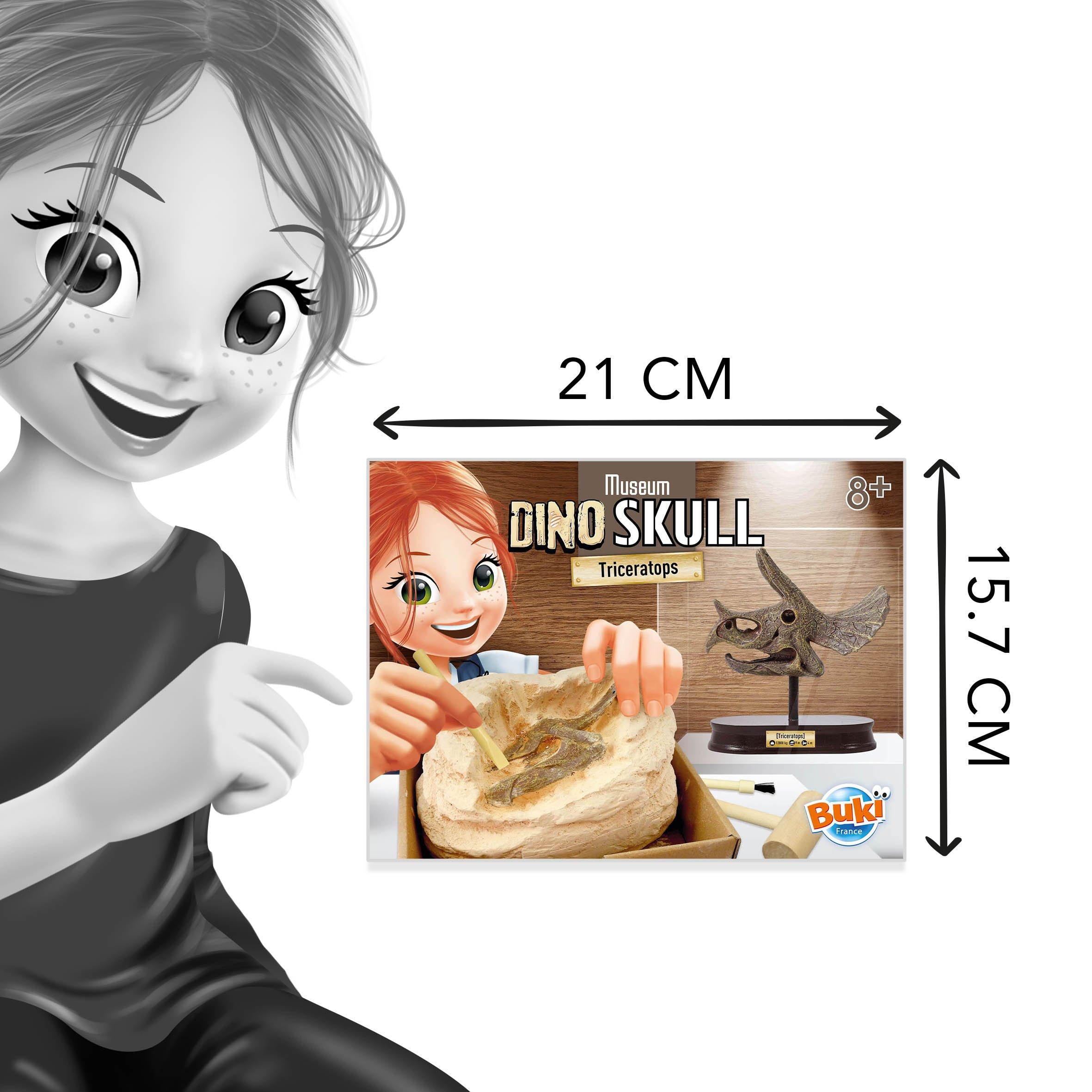 Triceratops - Buki France - Triceratops Museum Skull - 6