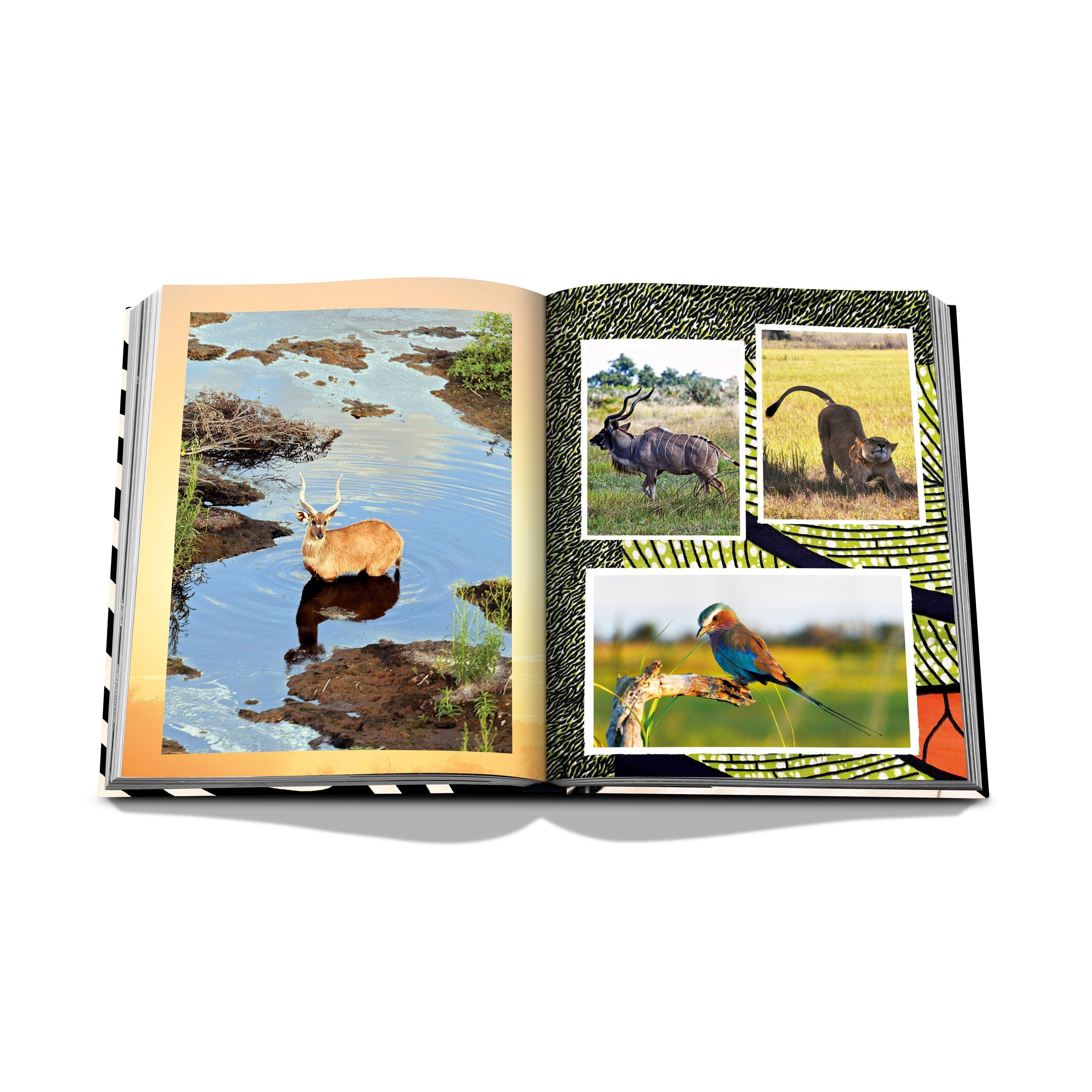 Multi - Assouline - African Adventures: The Greatest Safari on Earth - 6