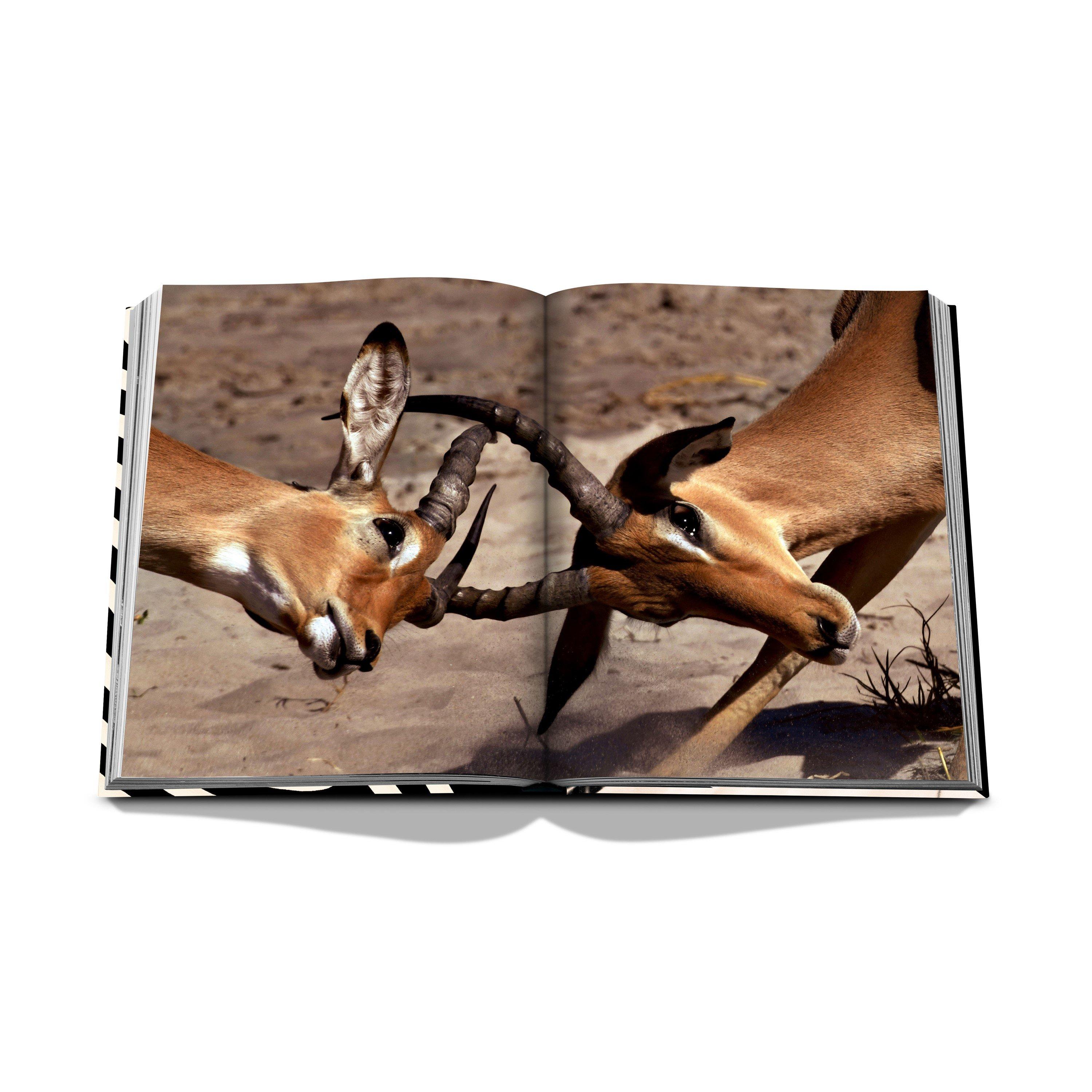 Multi - Assouline - African Adventures: The Greatest Safari on Earth - 7