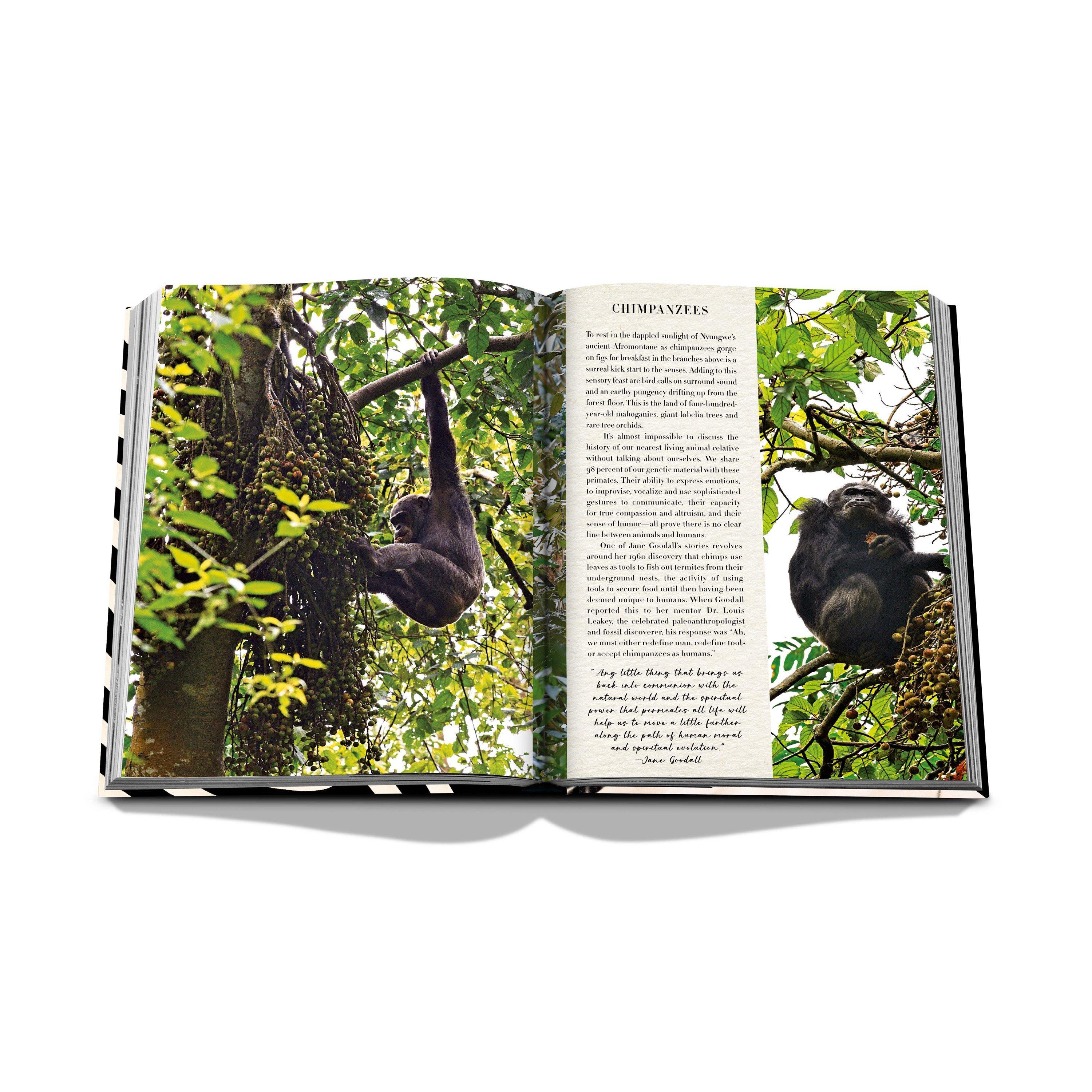 Multi - Assouline - African Adventures: The Greatest Safari on Earth - 10