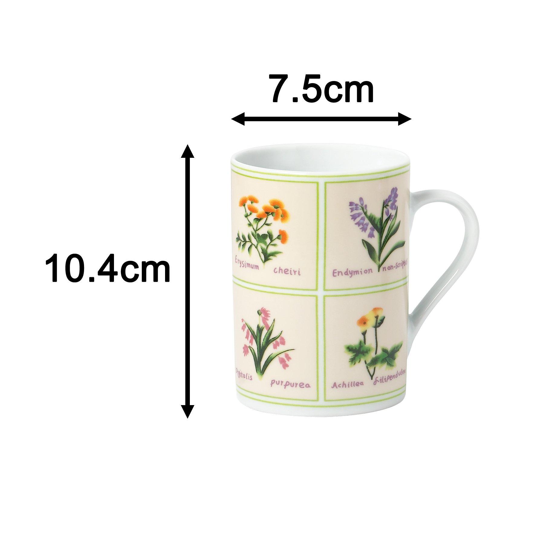 Multi - Waterside - 24PC British Wild Flowers Dinner Set - 6