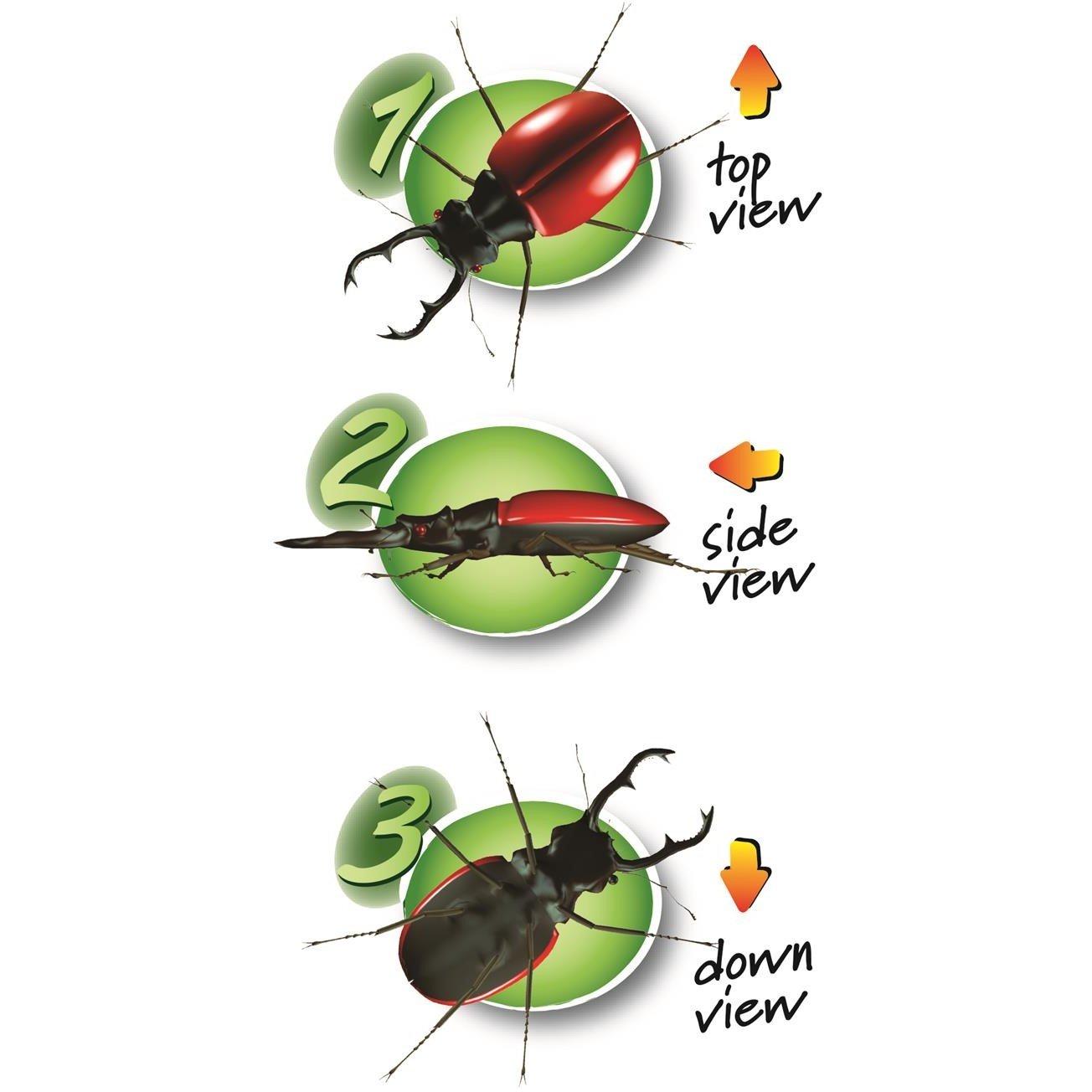 Green - NAVIR - Kit Discovery - Green - 4