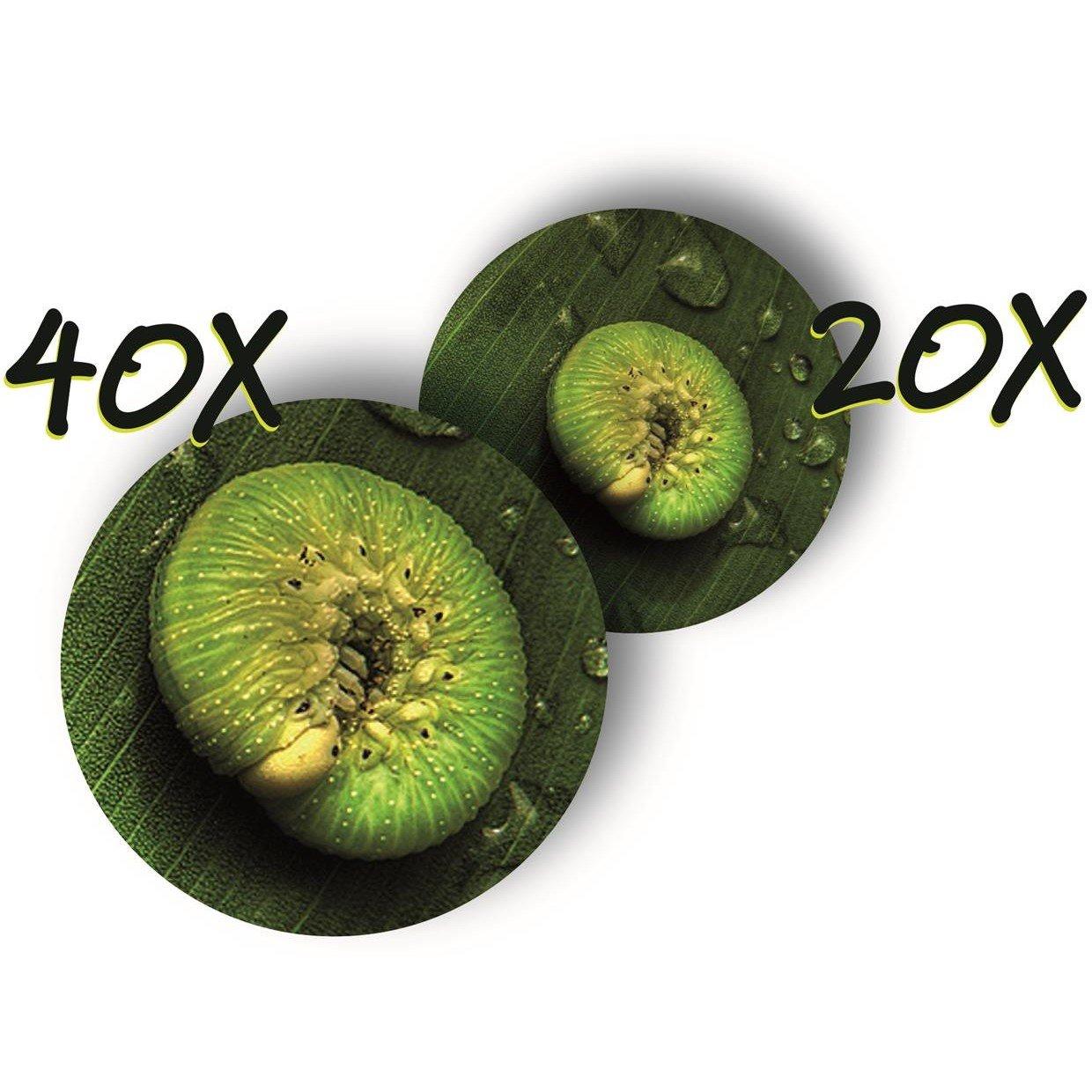 Green - NAVIR - Kit Discovery - Green - 5