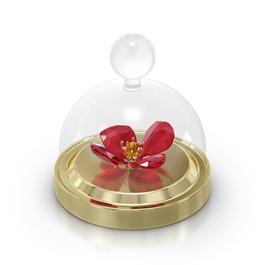 Swarovski Garden Tales Red Poppy Bell Jar