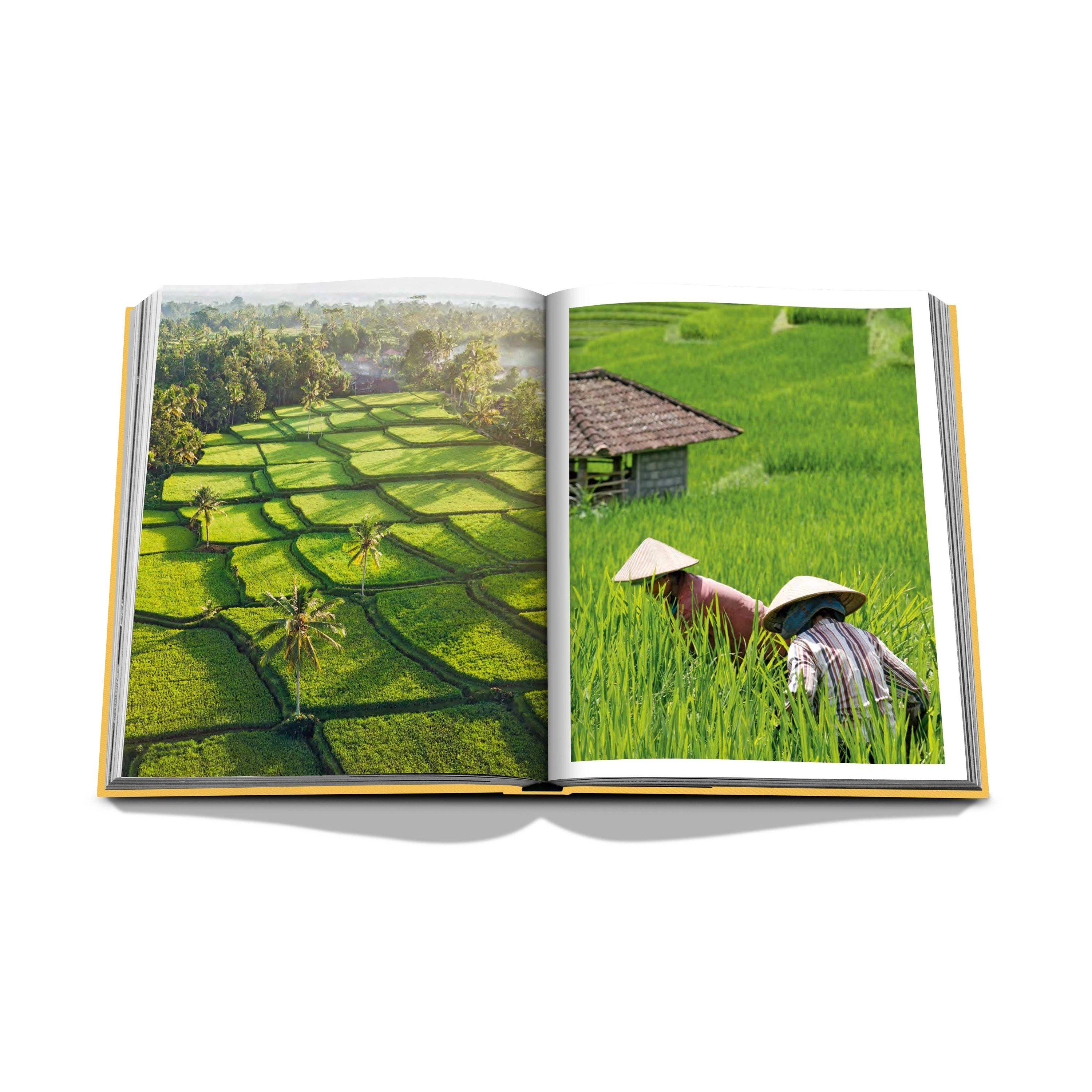 Orange - Assouline - Bali Mystique - 11