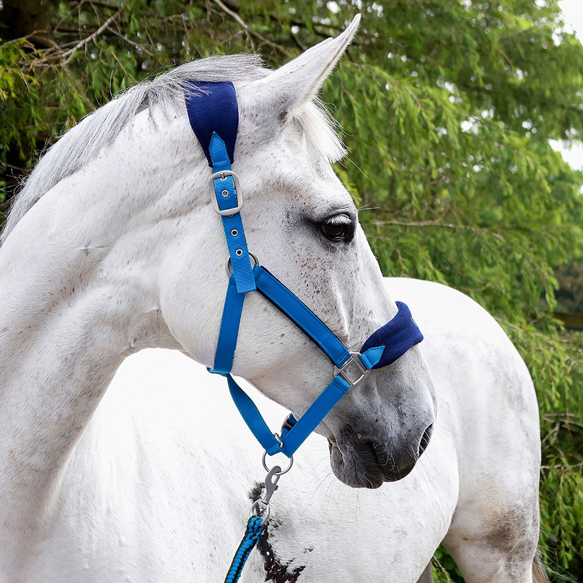 Koninklijk - John Whitaker - Club Headcollar and Lead Rope Set - 2