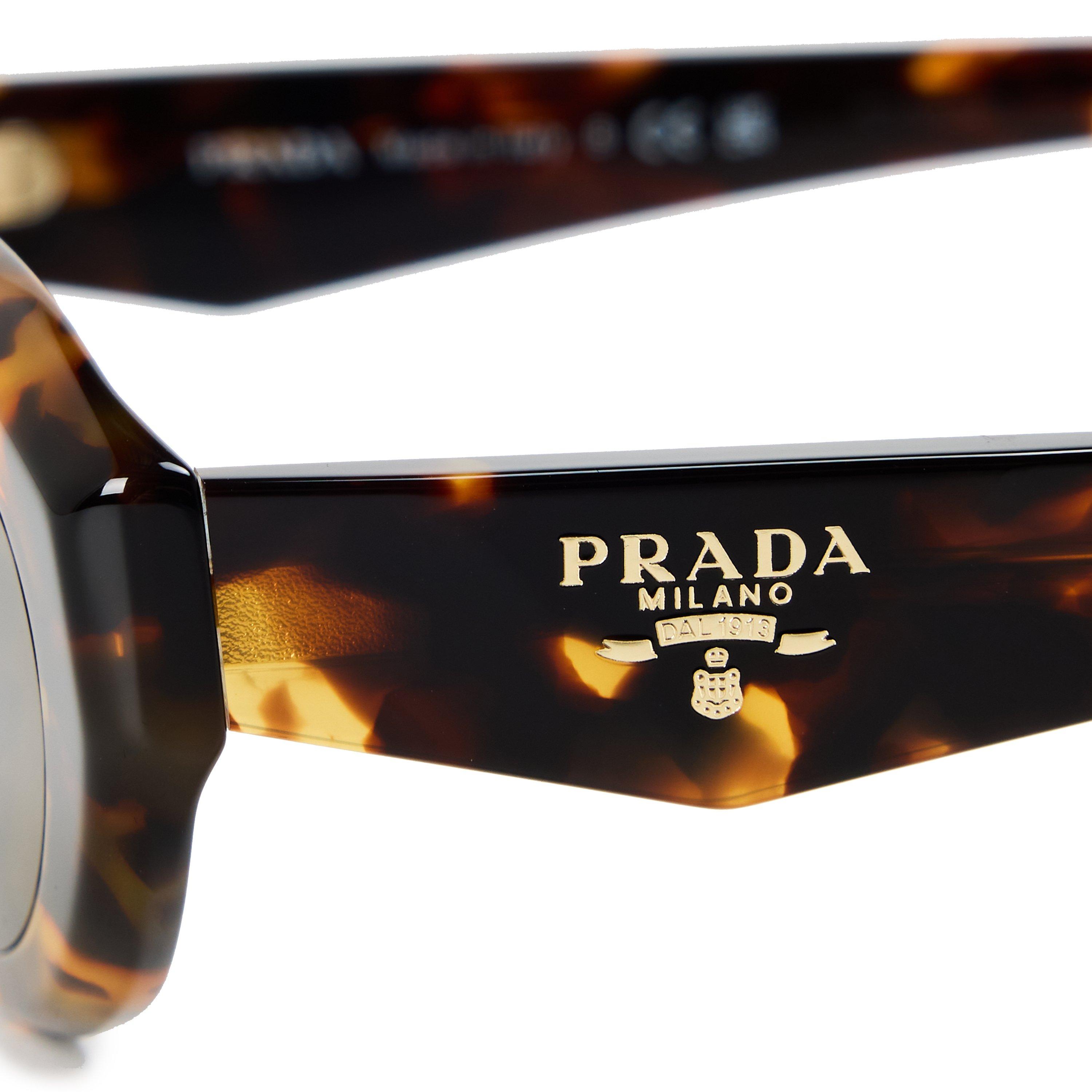 Honey Tortoise - Prada - Women's Oval Sunglasses - 3