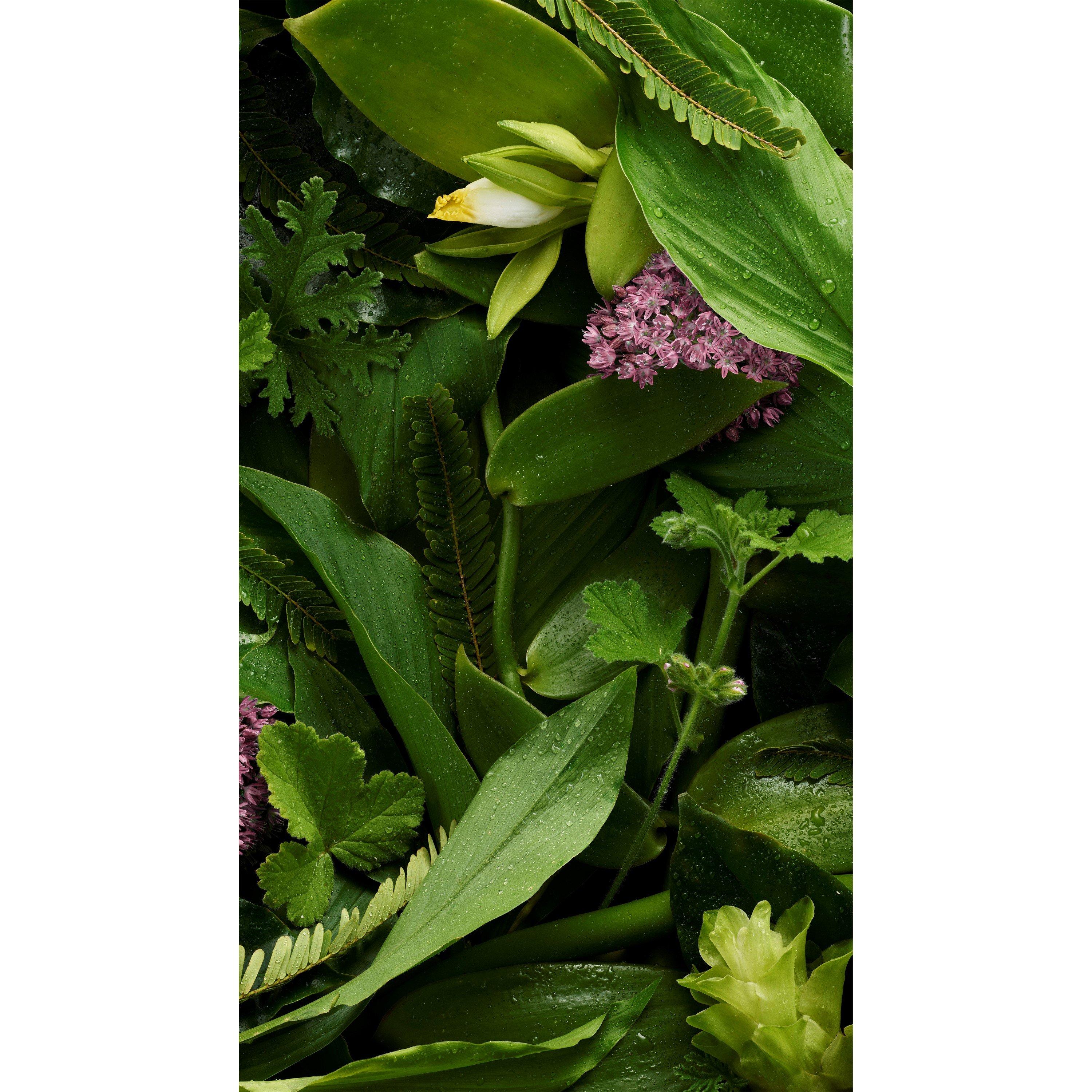 Set - Aveda - Invati advanced™ system set rich - 5