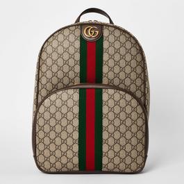 Gucci Back Pack Sn53