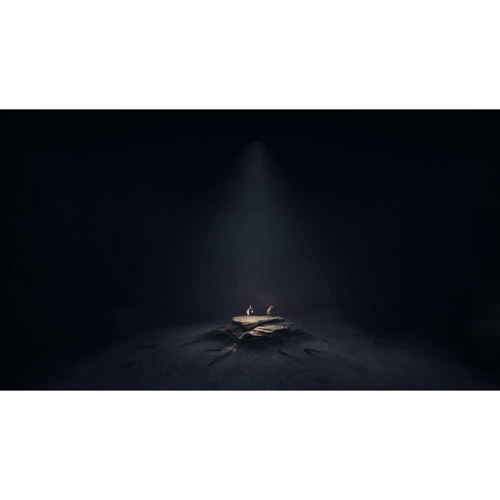 XBS - THQ Nordic - Reanimal - 5