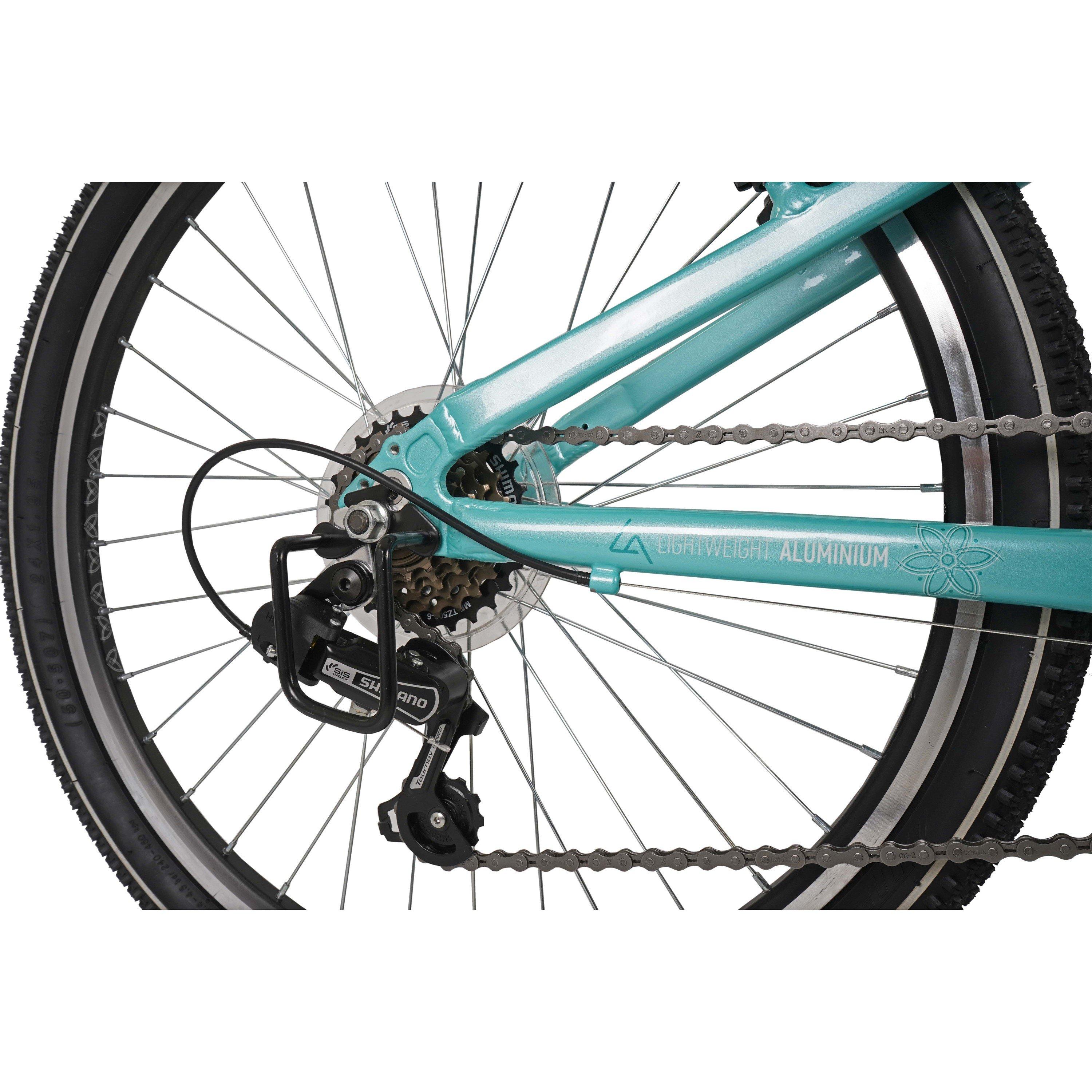Mint - Dawes - Dawes Paris HT Junior Bikes - 3