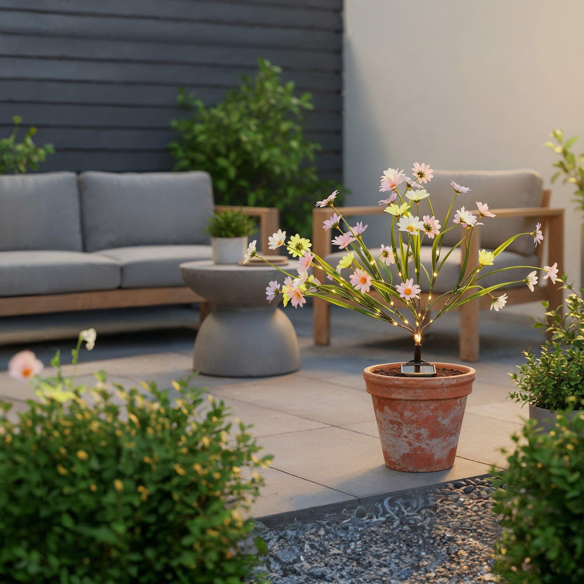 Multi - Streetwize - Wild Chrysanthemum Solar Lights - 1