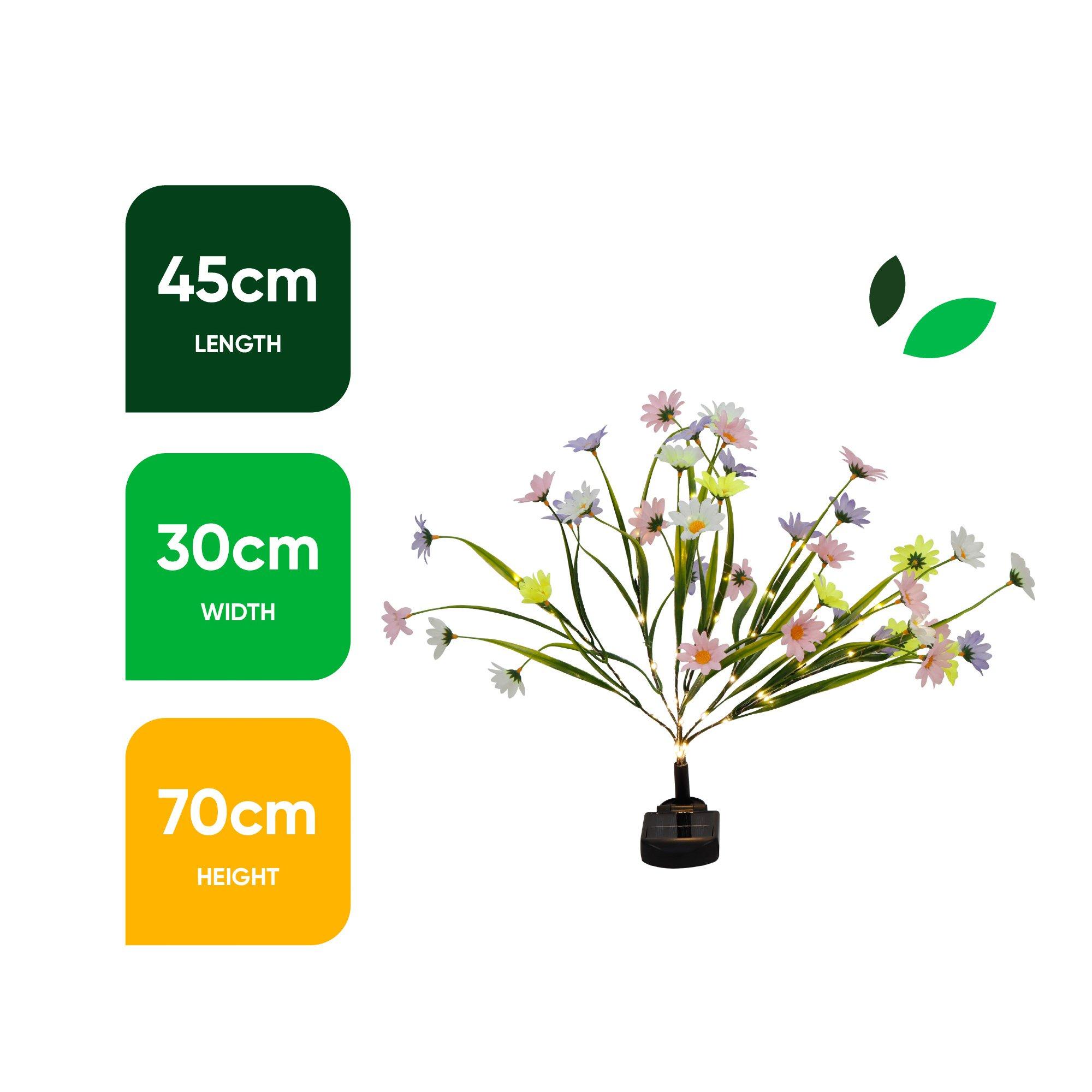 Multi - Streetwize - Wild Chrysanthemum Solar Lights - 3