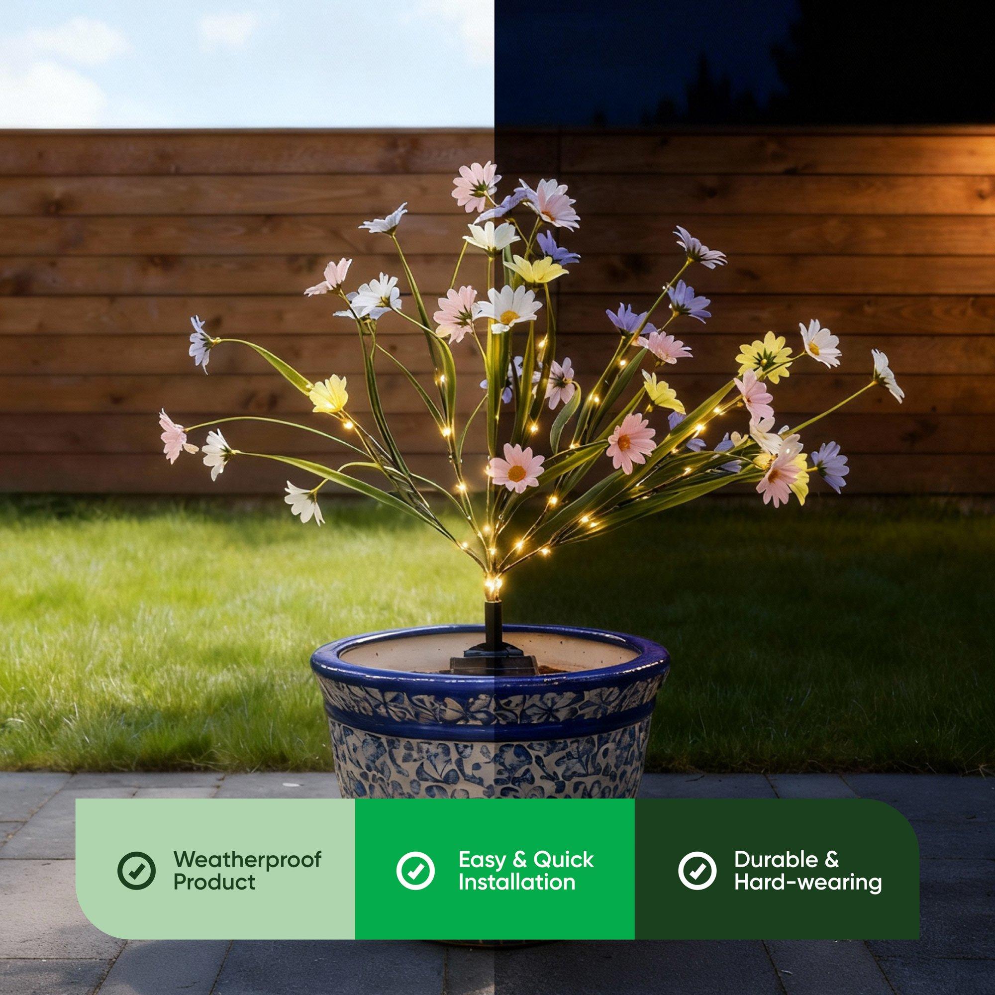 Multi - Streetwize - Wild Chrysanthemum Solar Lights - 4