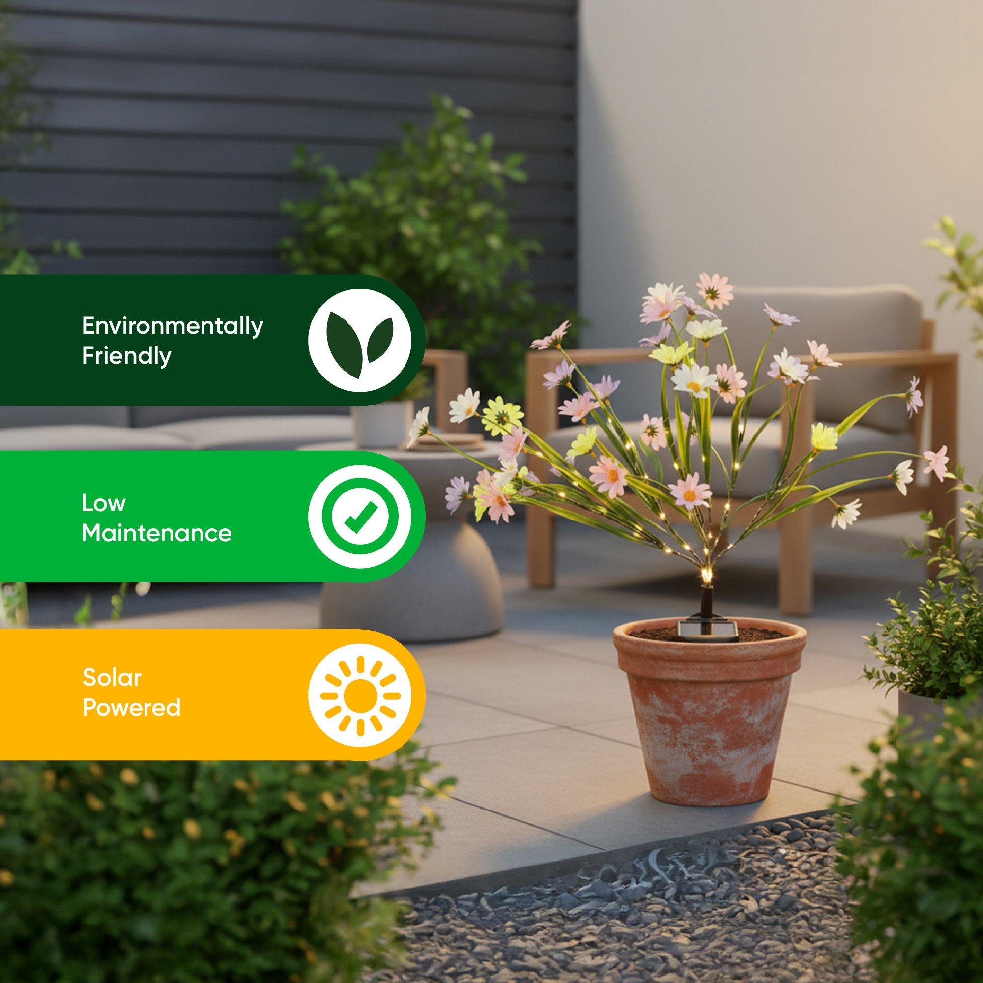 Multi - Streetwize - Wild Chrysanthemum Solar Lights - 7