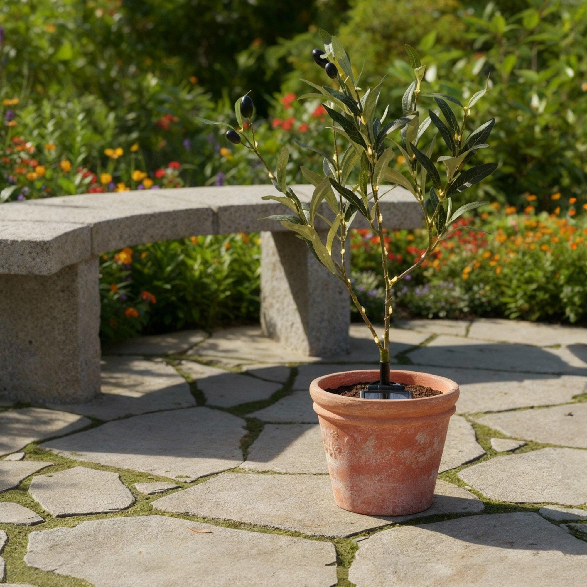 Green - Streetwize - Olive Tree Solar Lights - 1