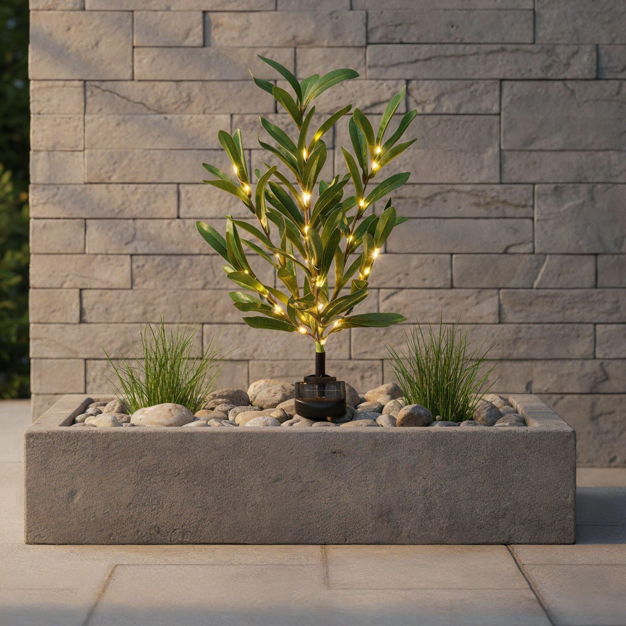 Green - Streetwize - Olive Tree Solar Lights - 1