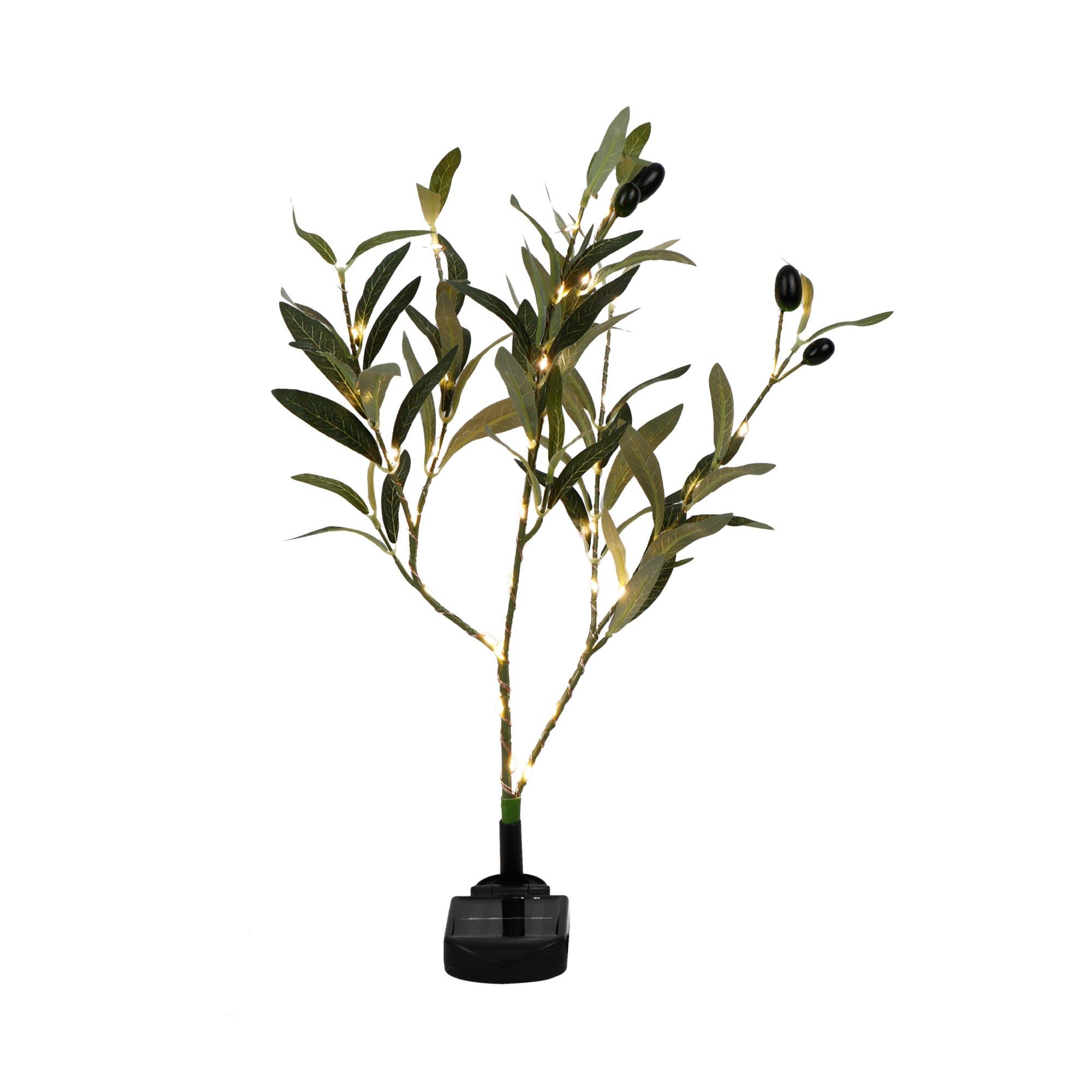 Green - Streetwize - Olive Tree Solar Lights - 2