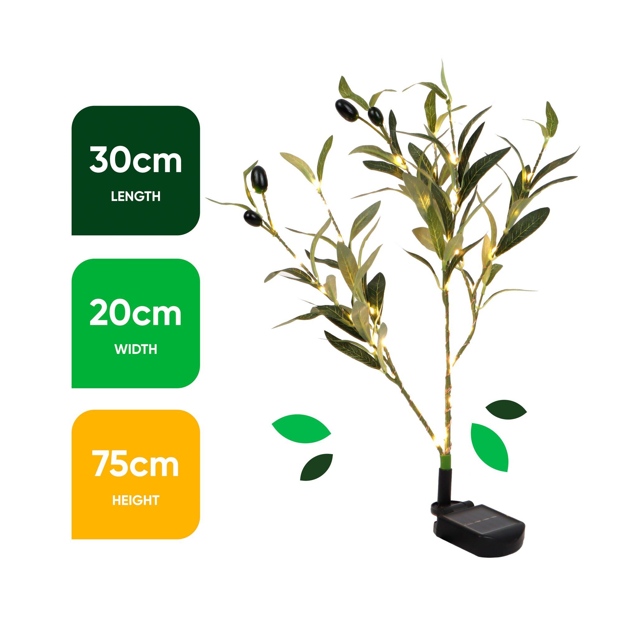 Green - Streetwize - Olive Tree Solar Lights - 3